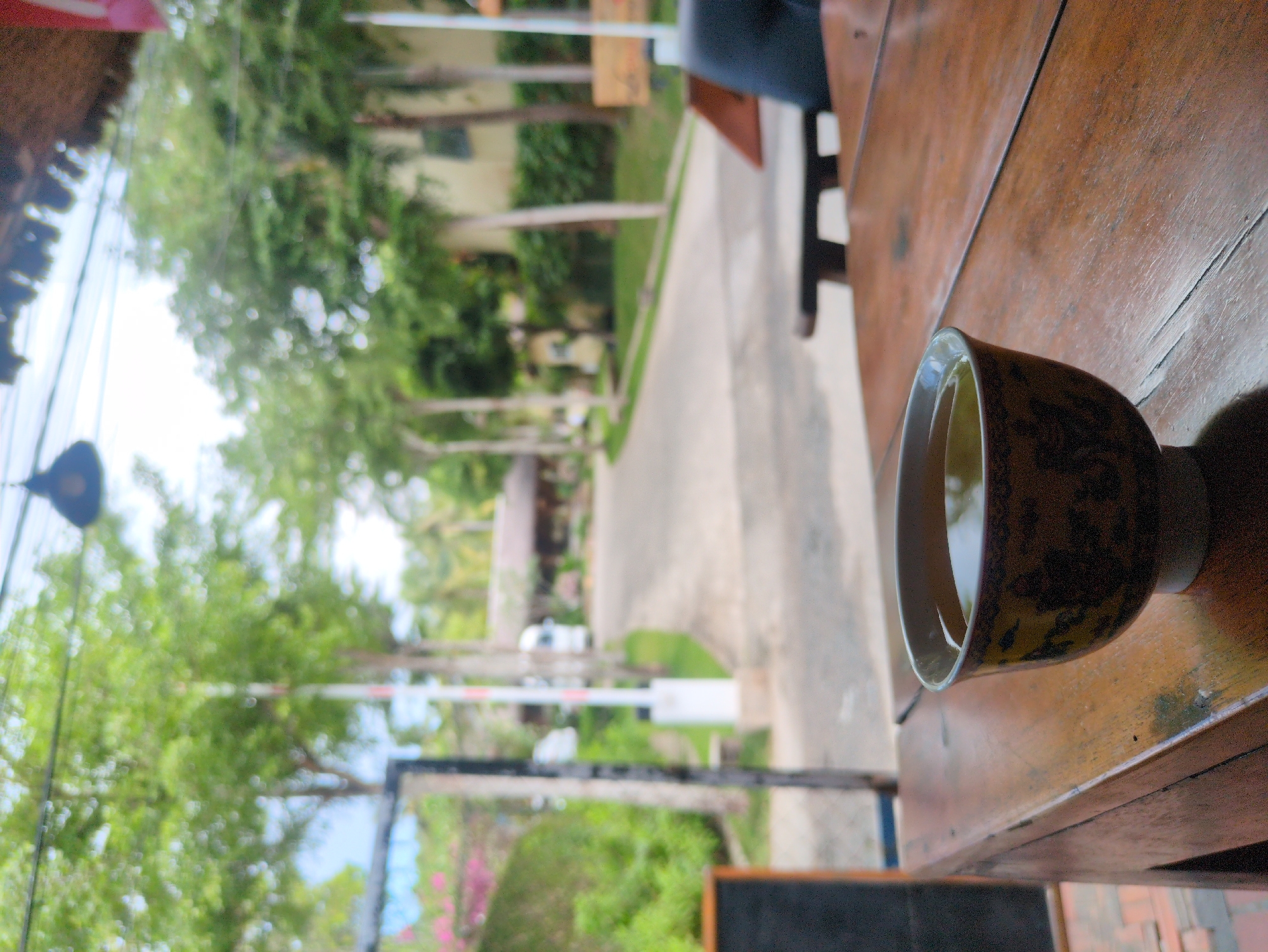 Teacup on wooden table photographed in Phú Quốc, Vietnam