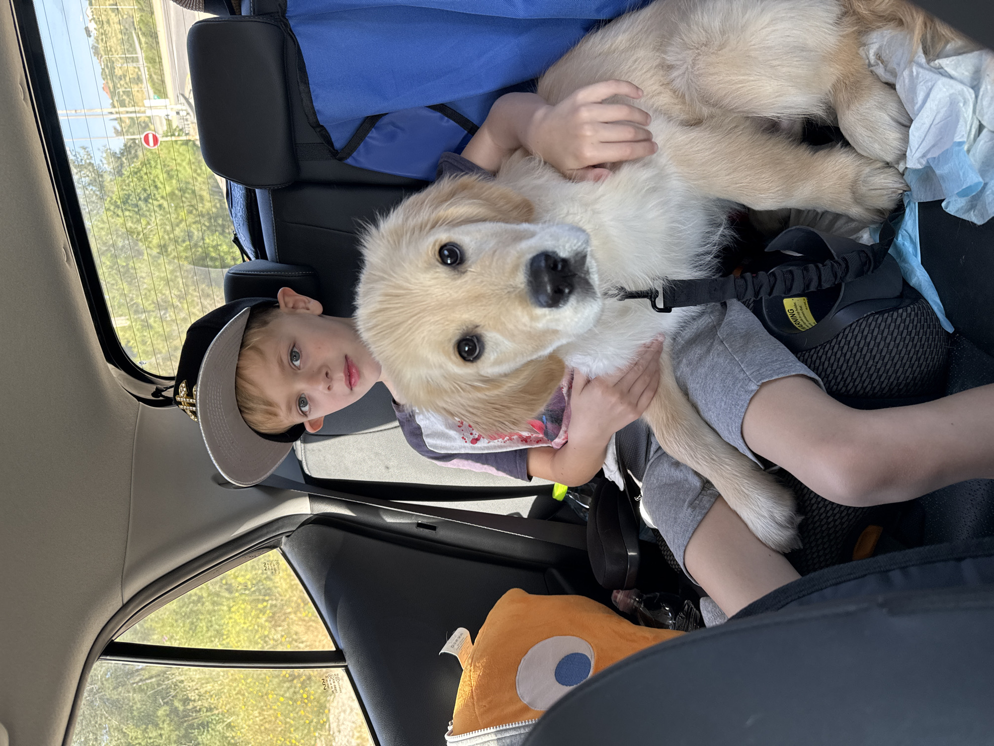 Boy with golden retriever puppy photographed in car, Israel