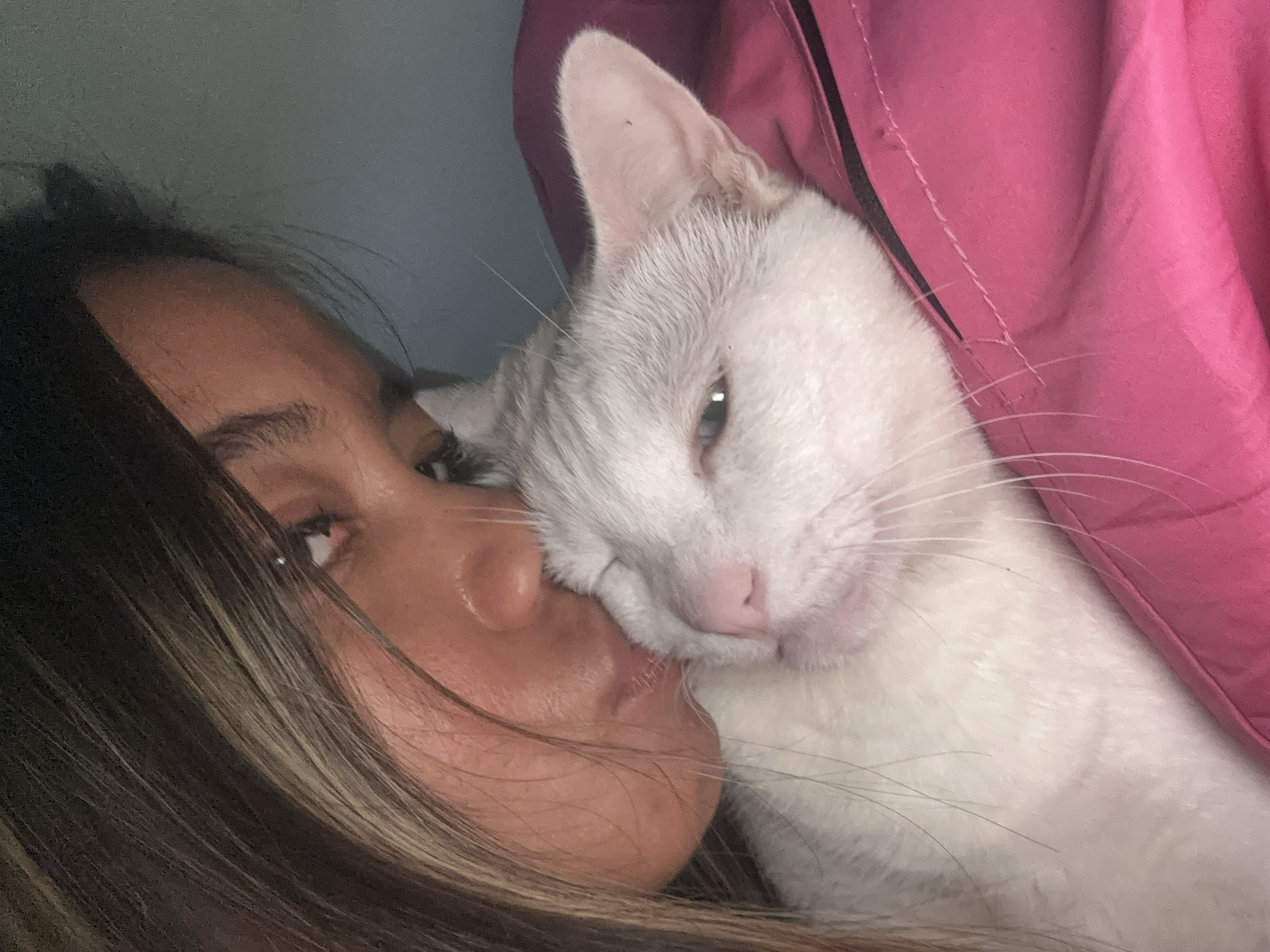 Lazy afternoon with a white cat in Sukawati