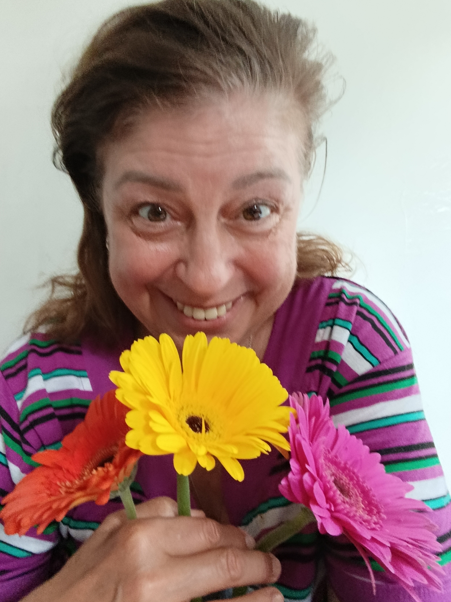 Gerbera daisy photos, close-ups and portraits, Saratov