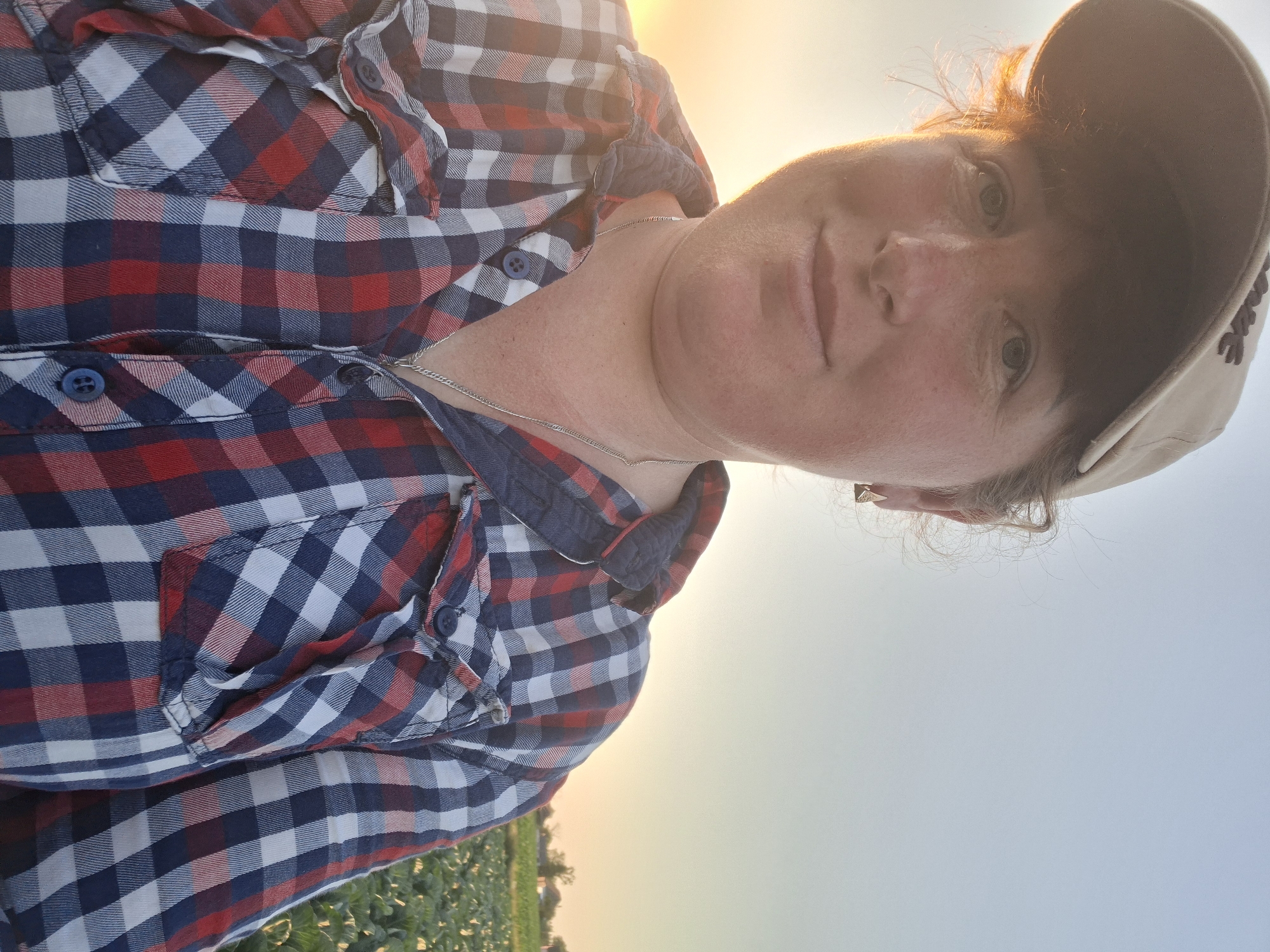 Selfies and harvest time at a sprawling cabbage farm
