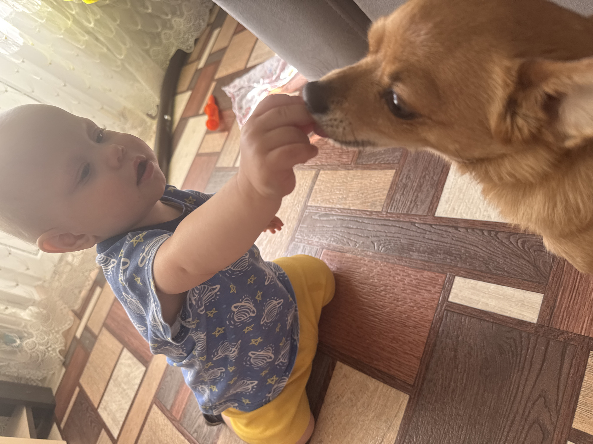 Baby plays with small dog indoors in Chaikovsky