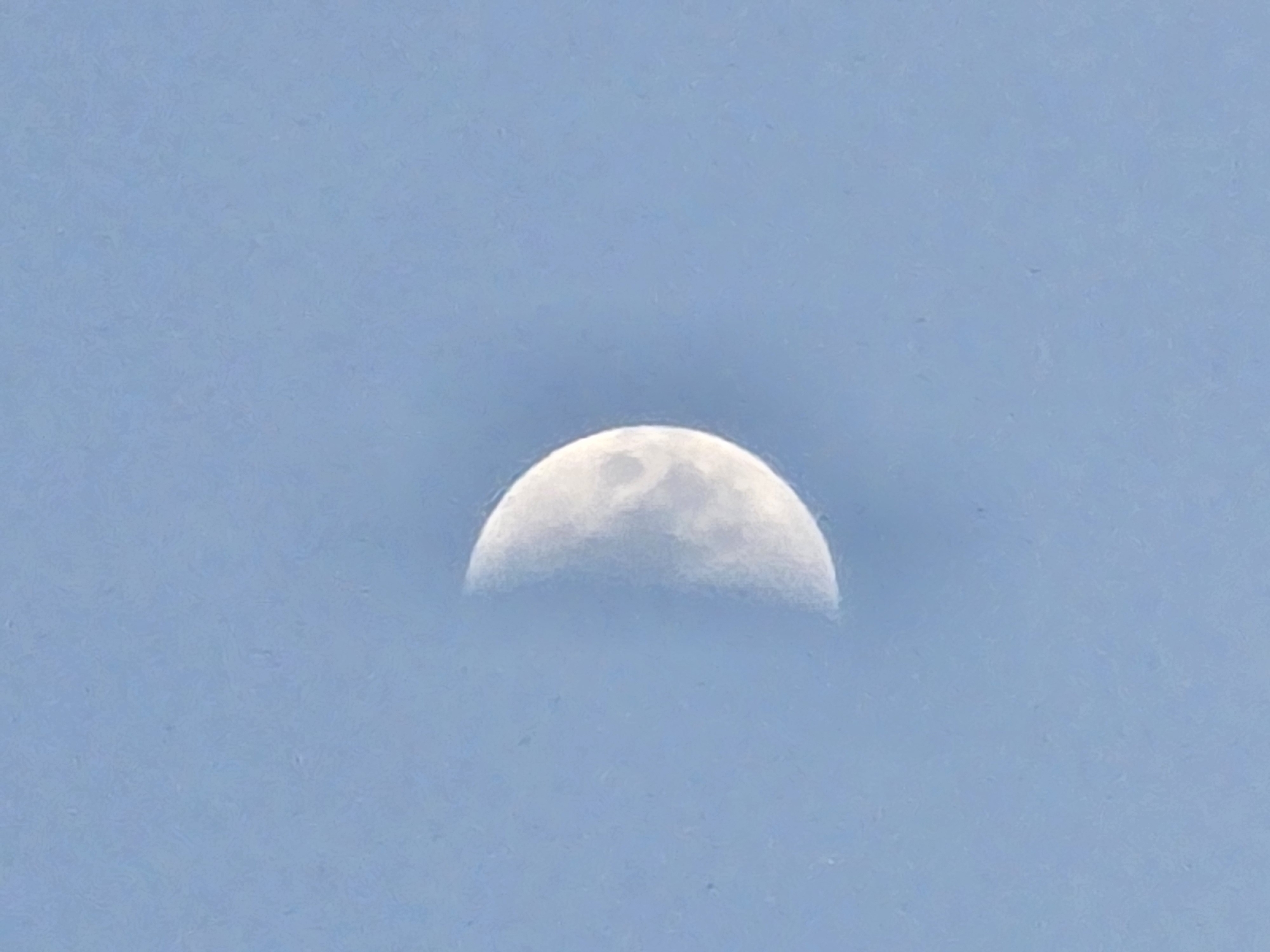 Half-moon with crater detail against a pale blue sky