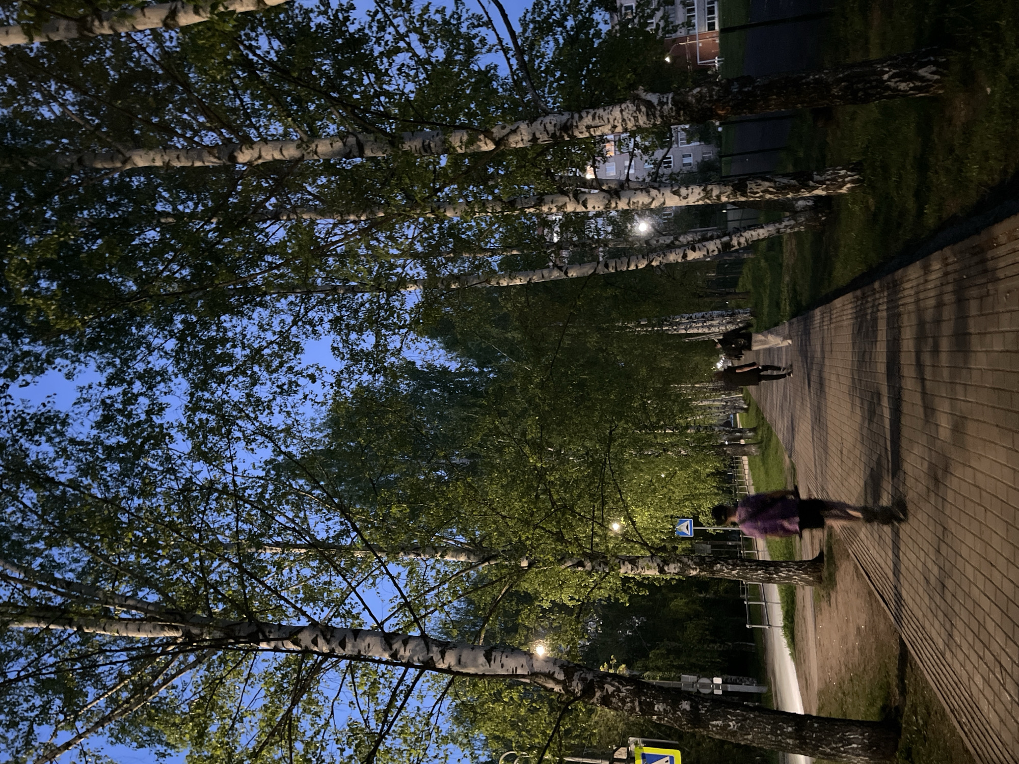 Two people pose for photo on tree-lined walkway in Izhevsk