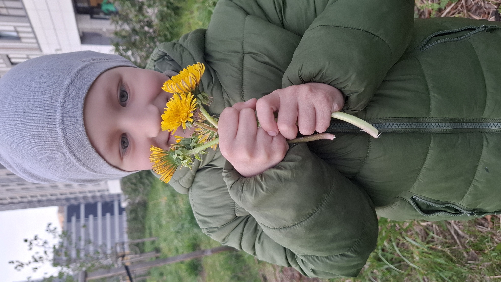 Child with dandelions, tabby cat spotted across Saint Petersburg