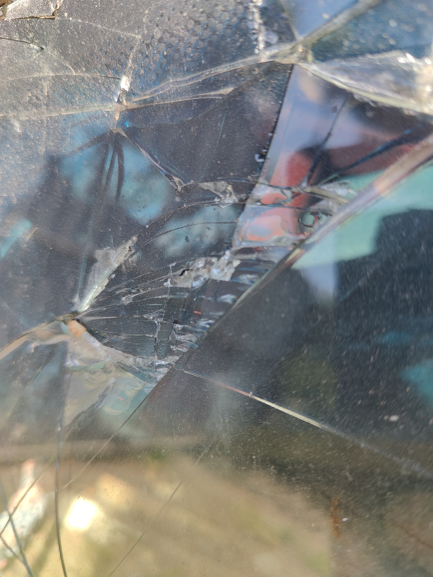 Rural Ukrainian homestead morning, with animals, chores, and broken glass
