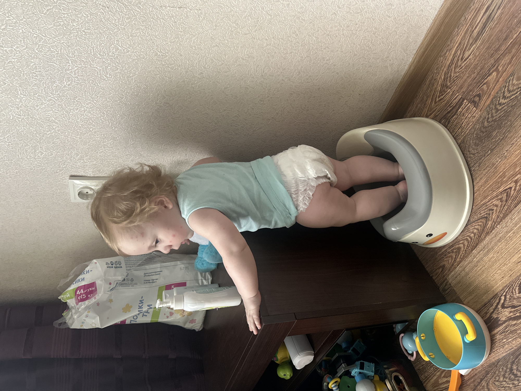 Domestic moments: toddler potty training, poodle interactions in Sayanogorsk