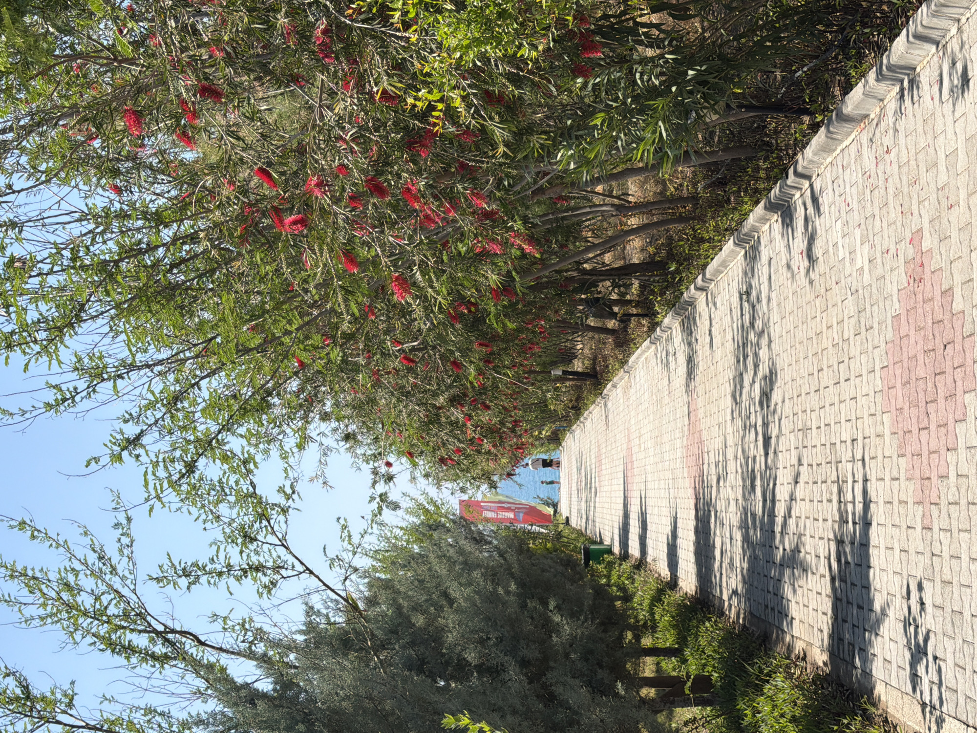 Morning scenes captured around Manavgat, Turkey waterfront area