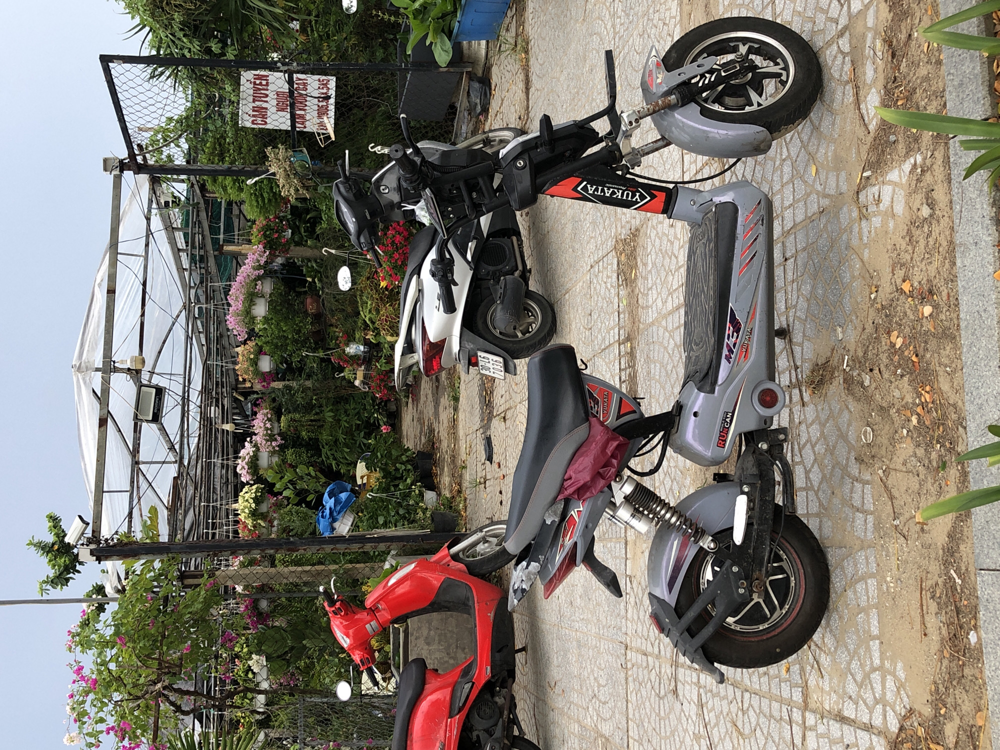 Morning street life and café stops across Đà Nẵng