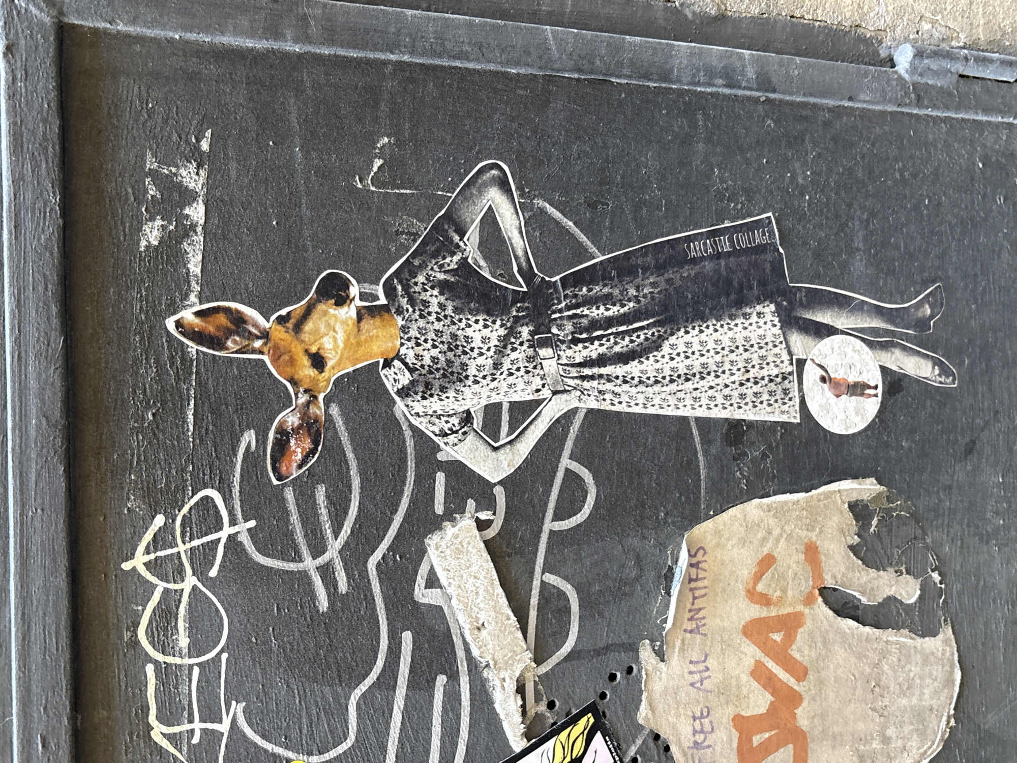 Florence street scenes documented: art, architecture, flowers