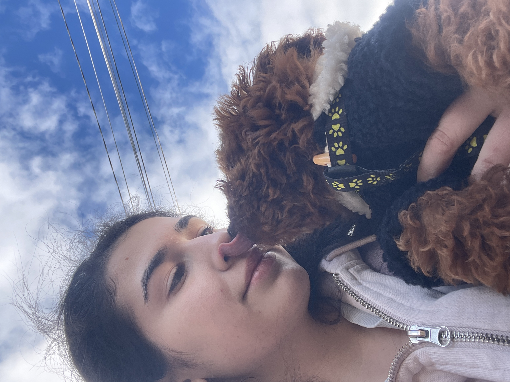 Dog owner enjoys afternoon outing with poodle in Sofia