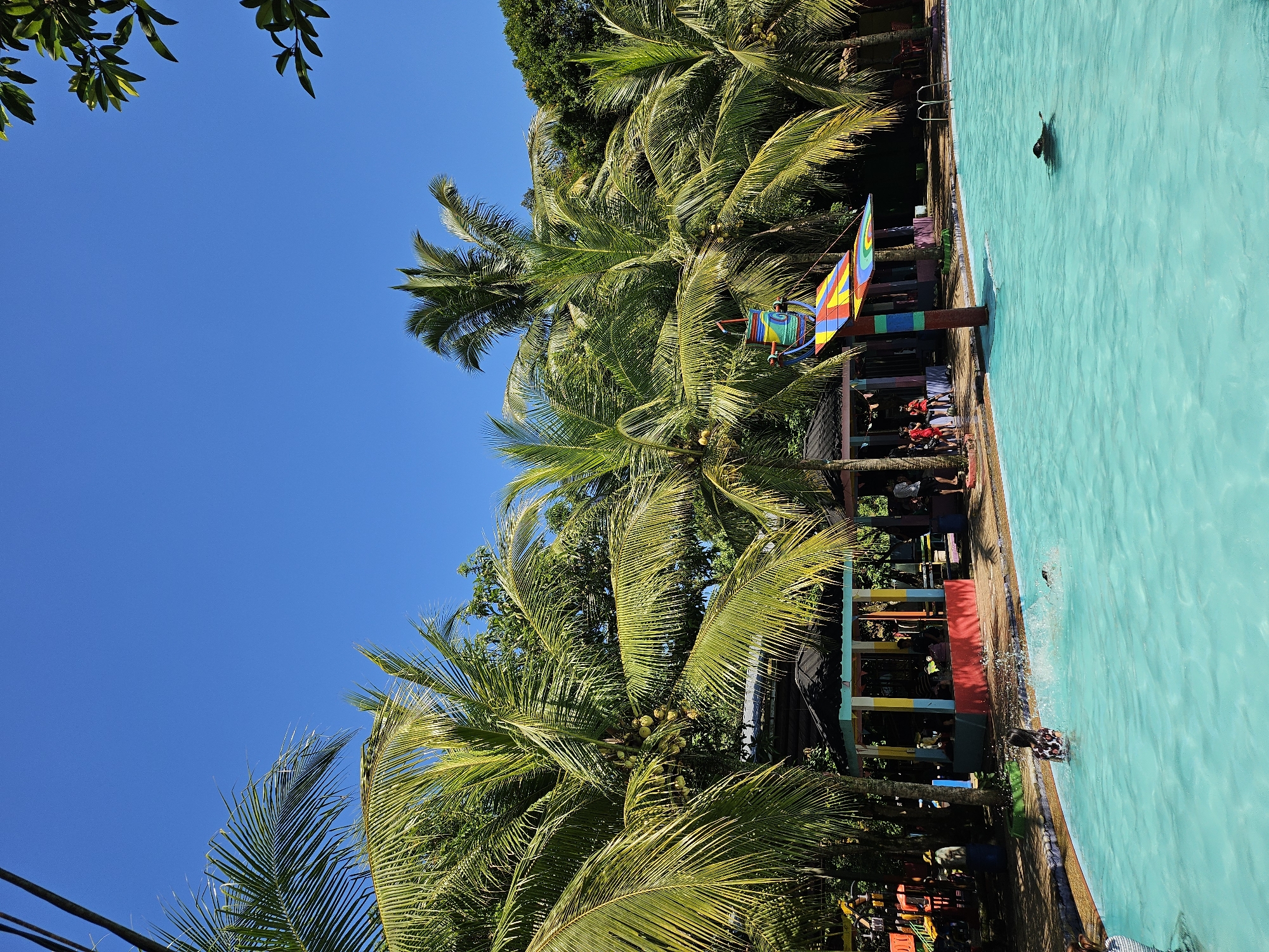 Swimming pool with palm trees documented in Jasinga, Indonesia