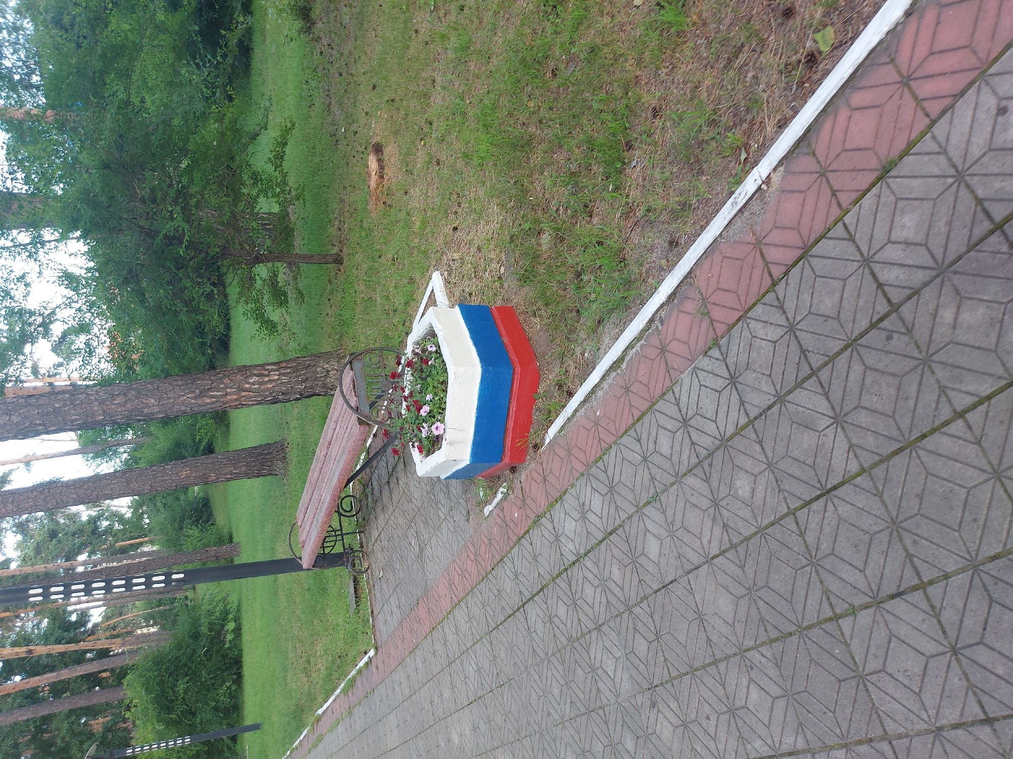 Belogorsk park's rides, pines, and flowers on a summer morning