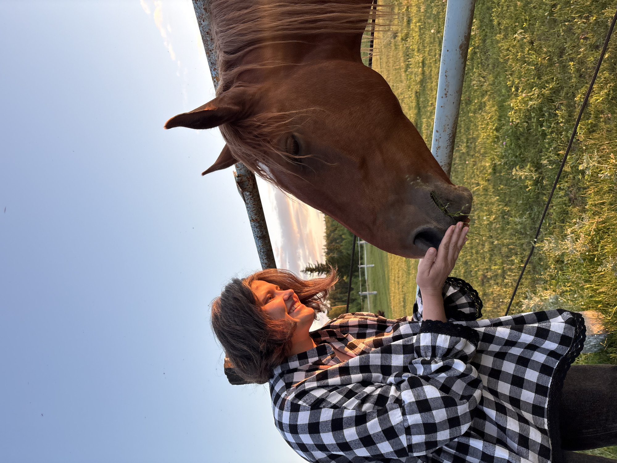 Woman feeds and photographs horses at sunset pasture