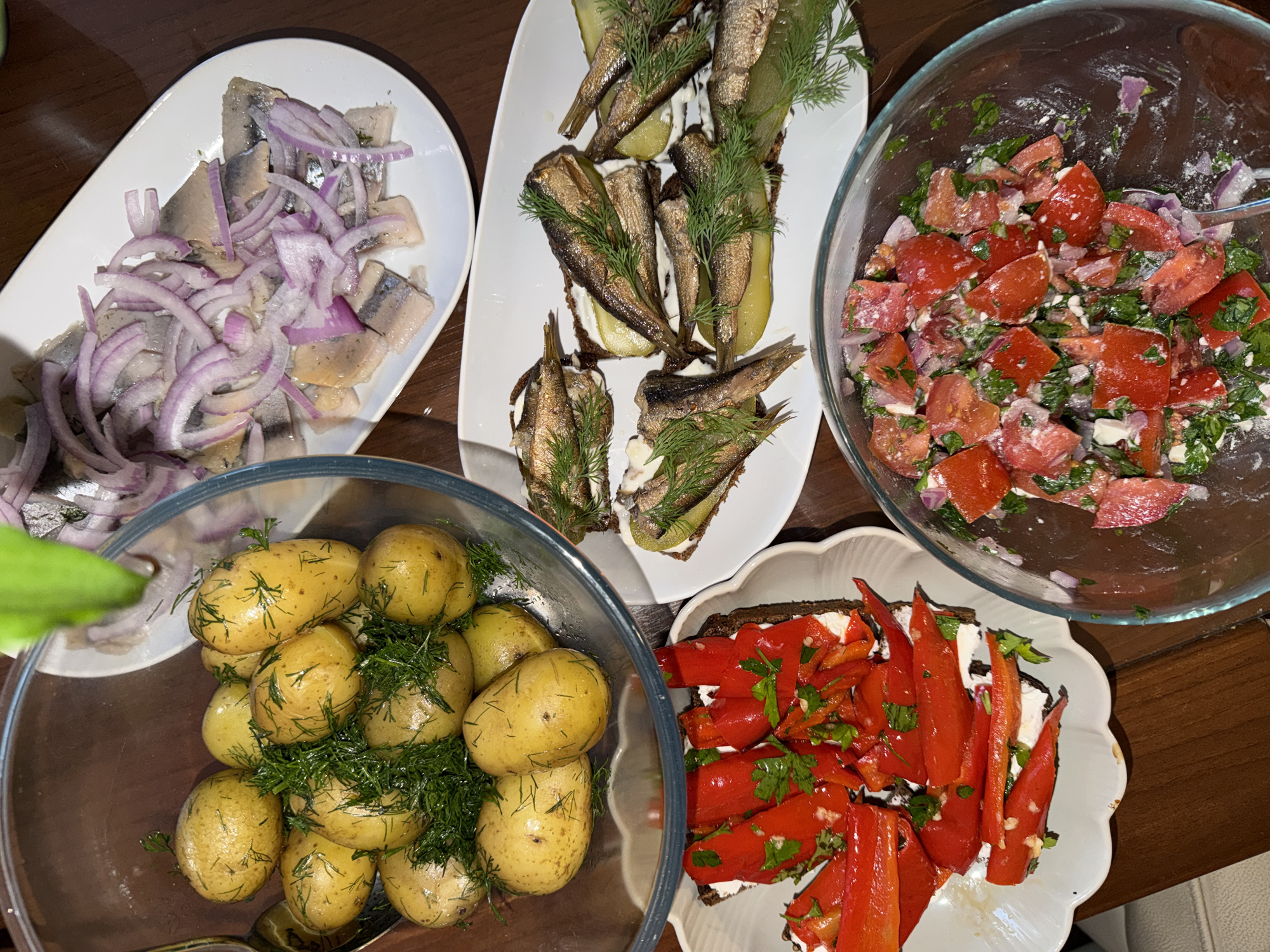 Traditional Balkan meal spread documented in Budva, Montenegro