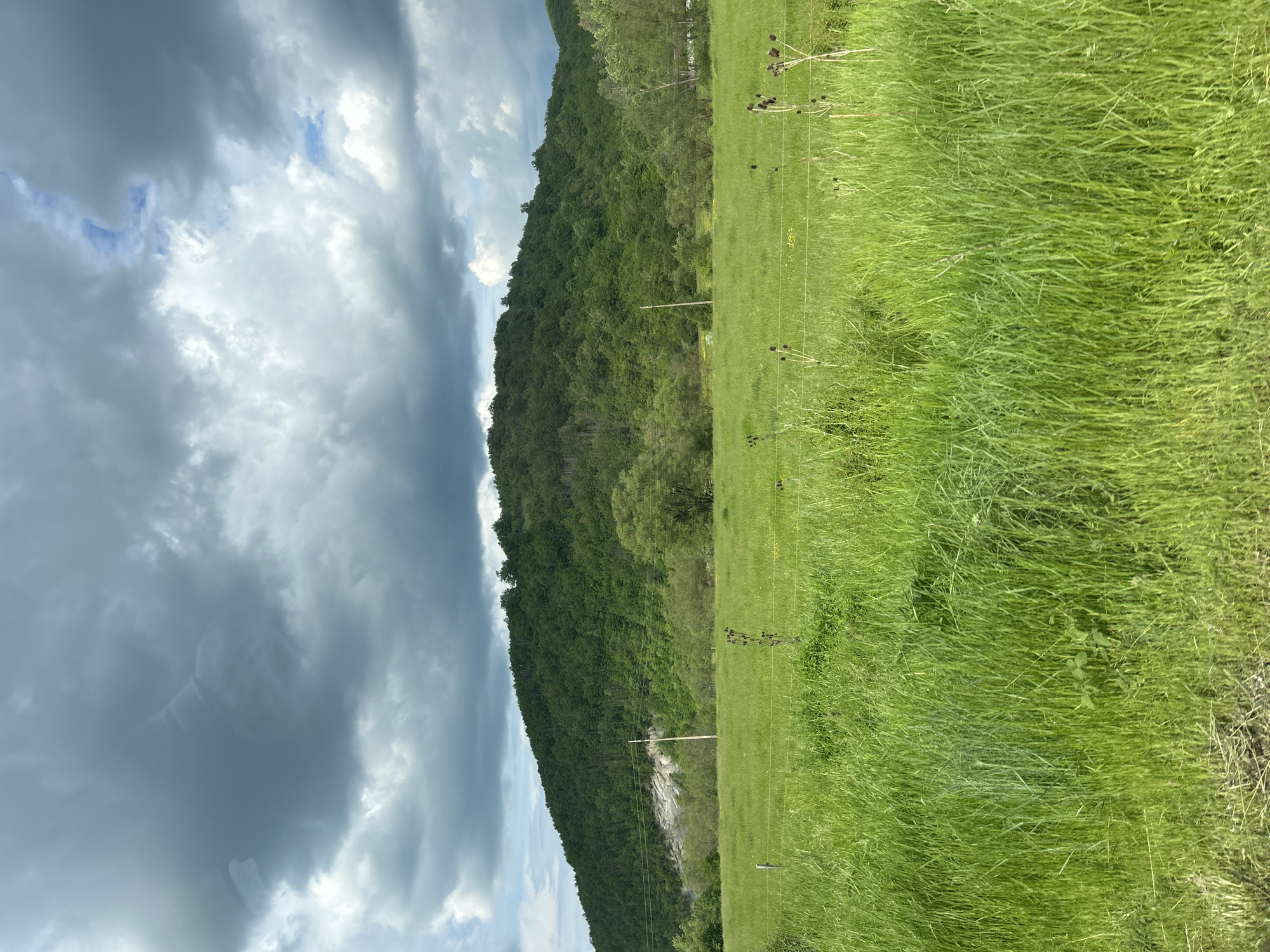 Rural countryside scenes documented during overcast spring afternoon