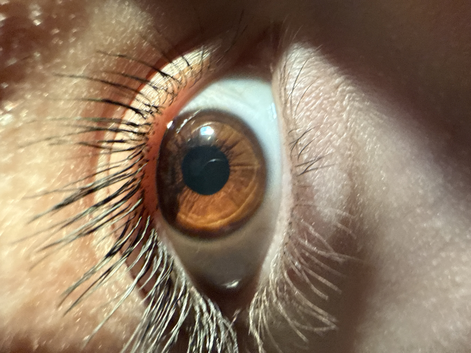 Close-up eye photography session documented by single witness