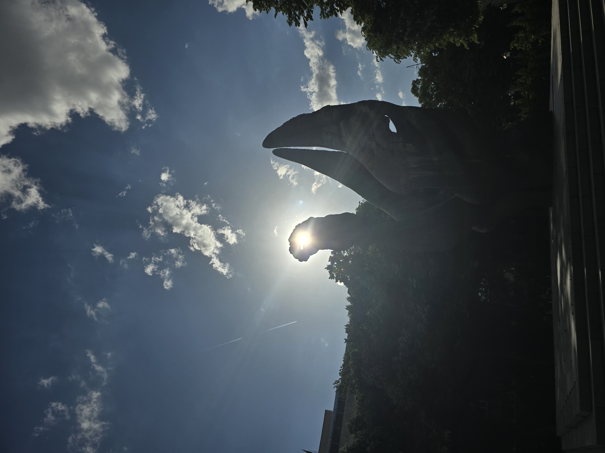 Scattered urban observations capture everyday moments across multiple locations