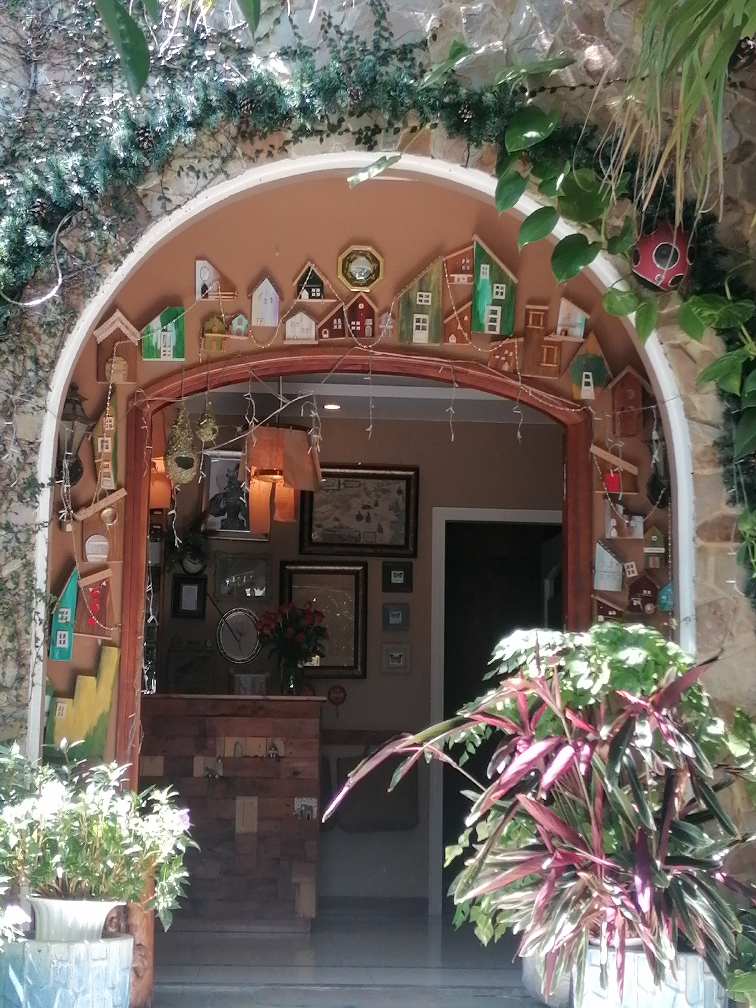 Cats, quirky decor, and cafe charm in Da Lat