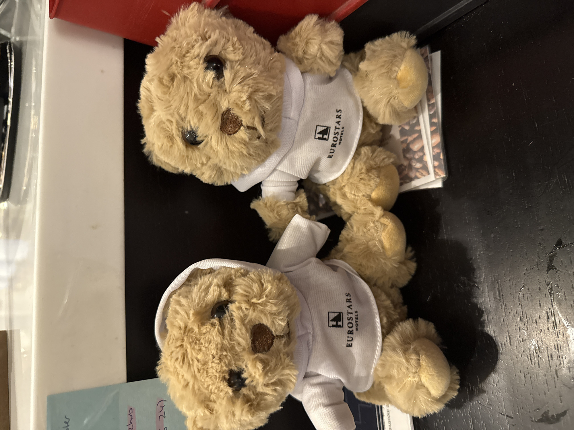 Hotel teddy bears arranged with containers, note in Munich