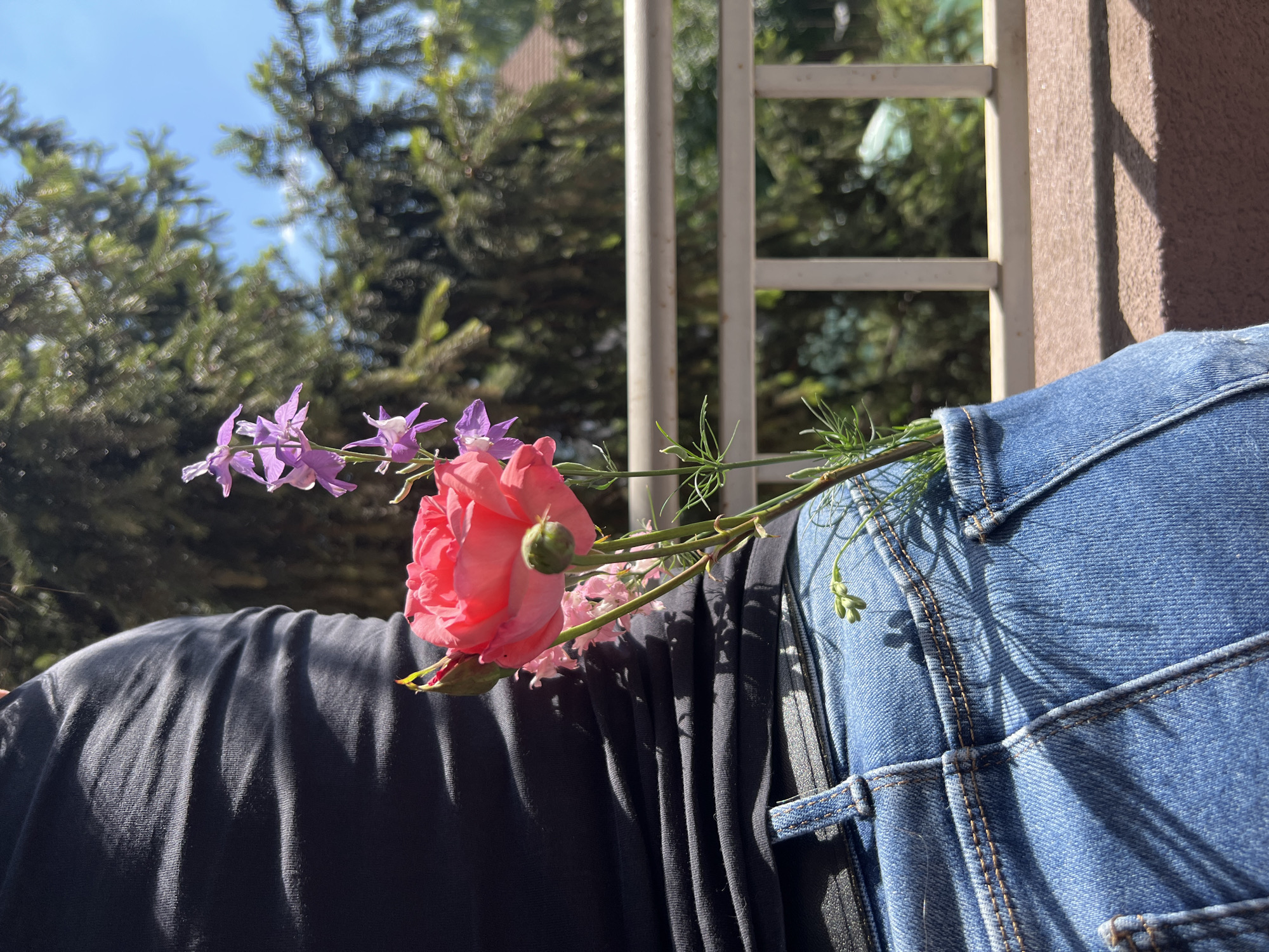 Flowers in a waistband, cheesy sandwiches — a Sofia afternoon