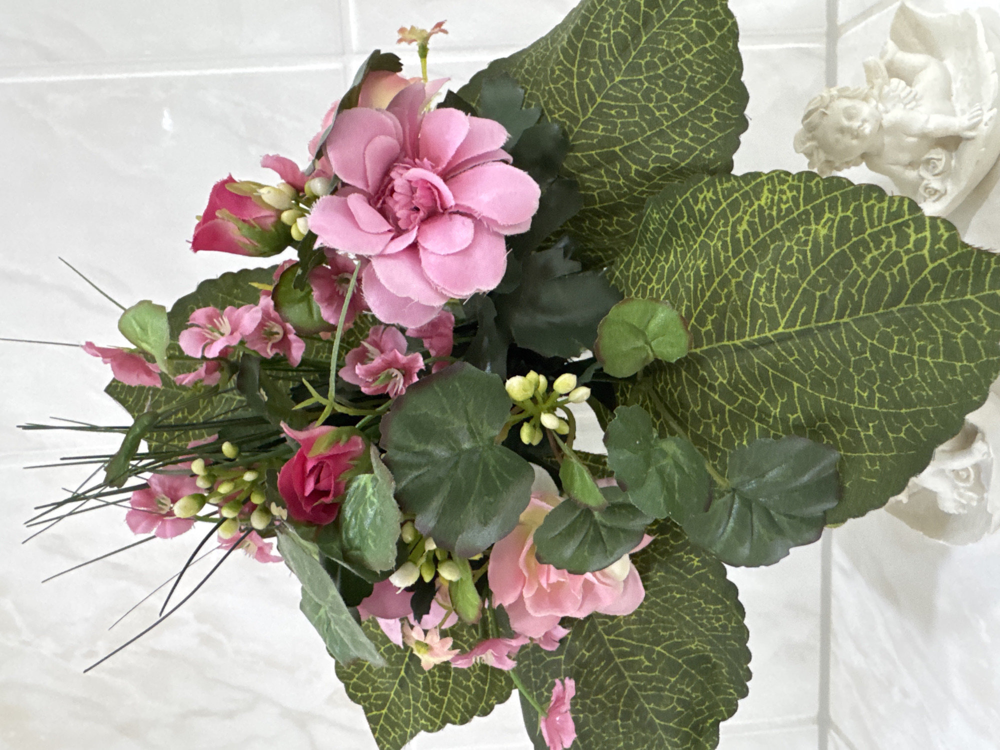 Indoor plant photography session in Bietigheim-Bissingen