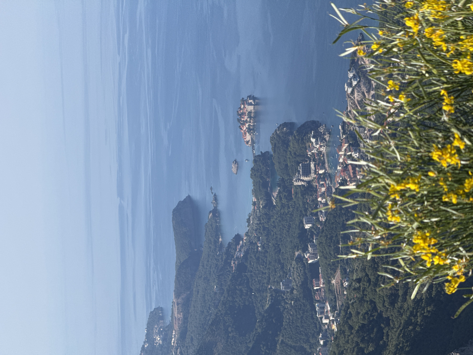 Adriatic coastal city from above, wildflowers and sea in frame