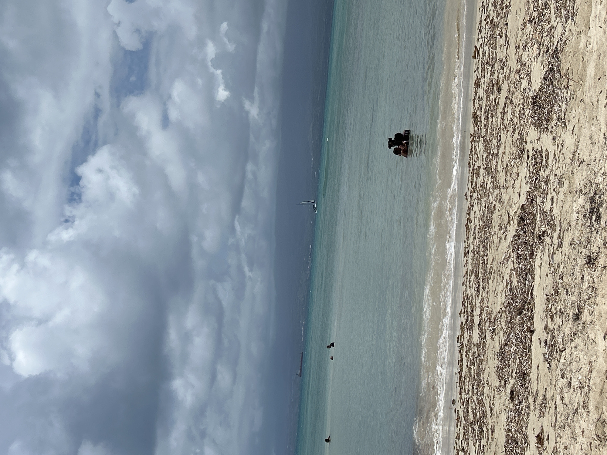 Coastal scene documented with beach debris and painted structure