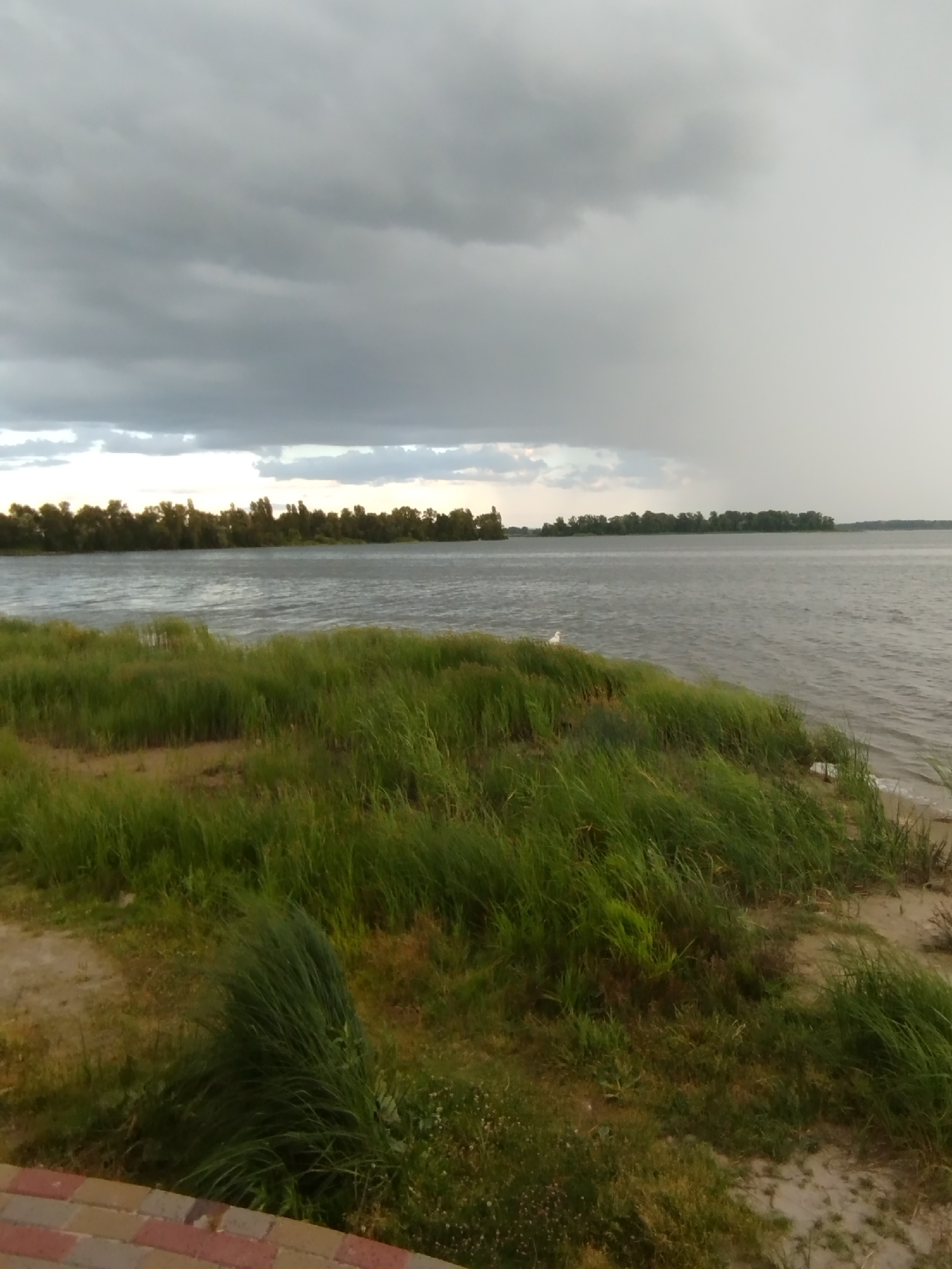 Stormy skies and egrets along the Dnieper riverbank