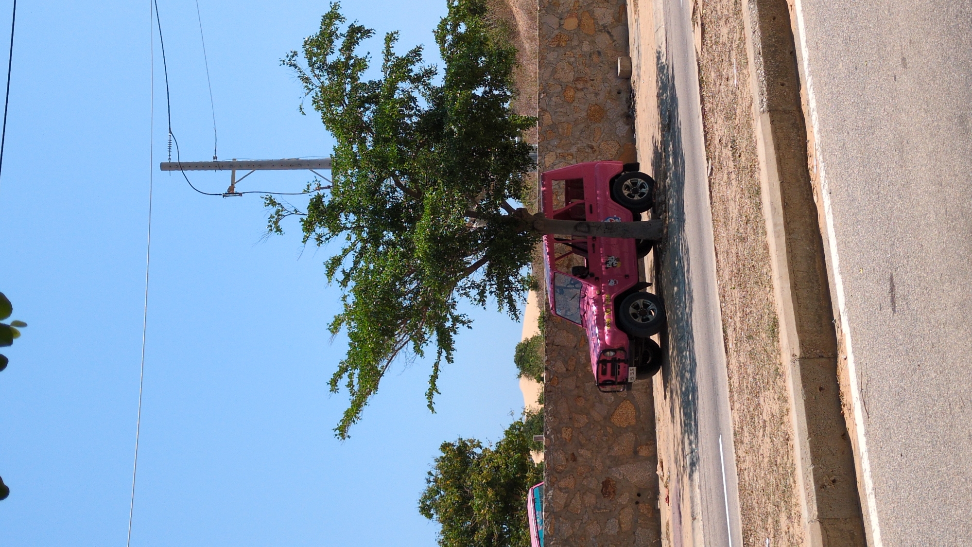 Pink Off-Road Vehicles Spotted at Mui Ne Sand Dunes