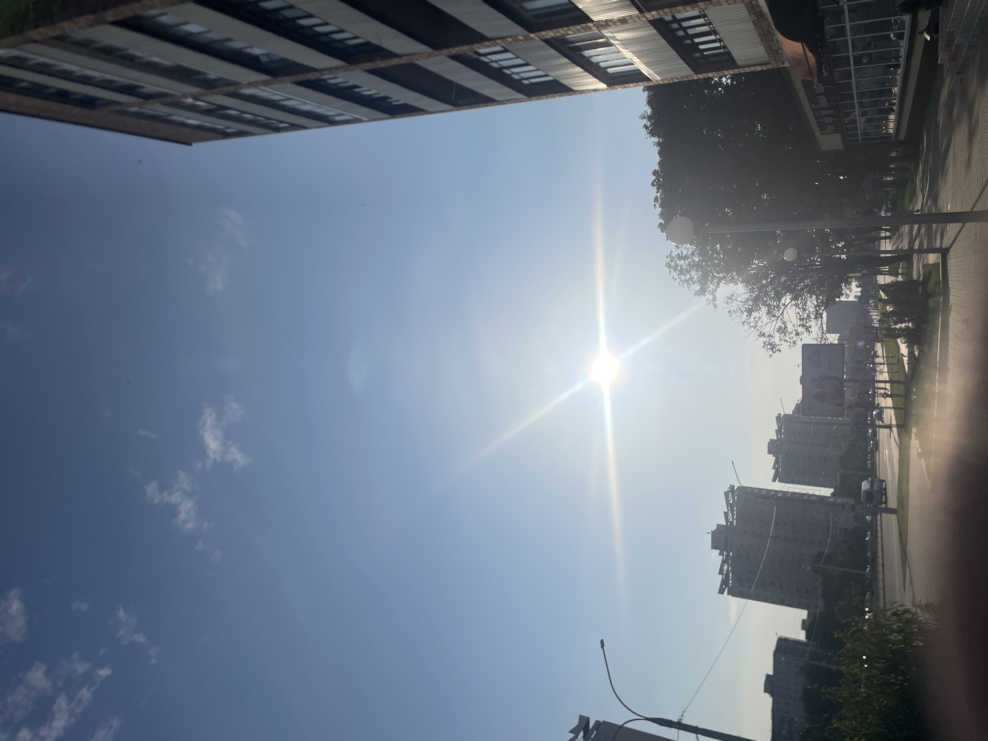 Sunny afternoon stroll through a tree-lined urban parkway