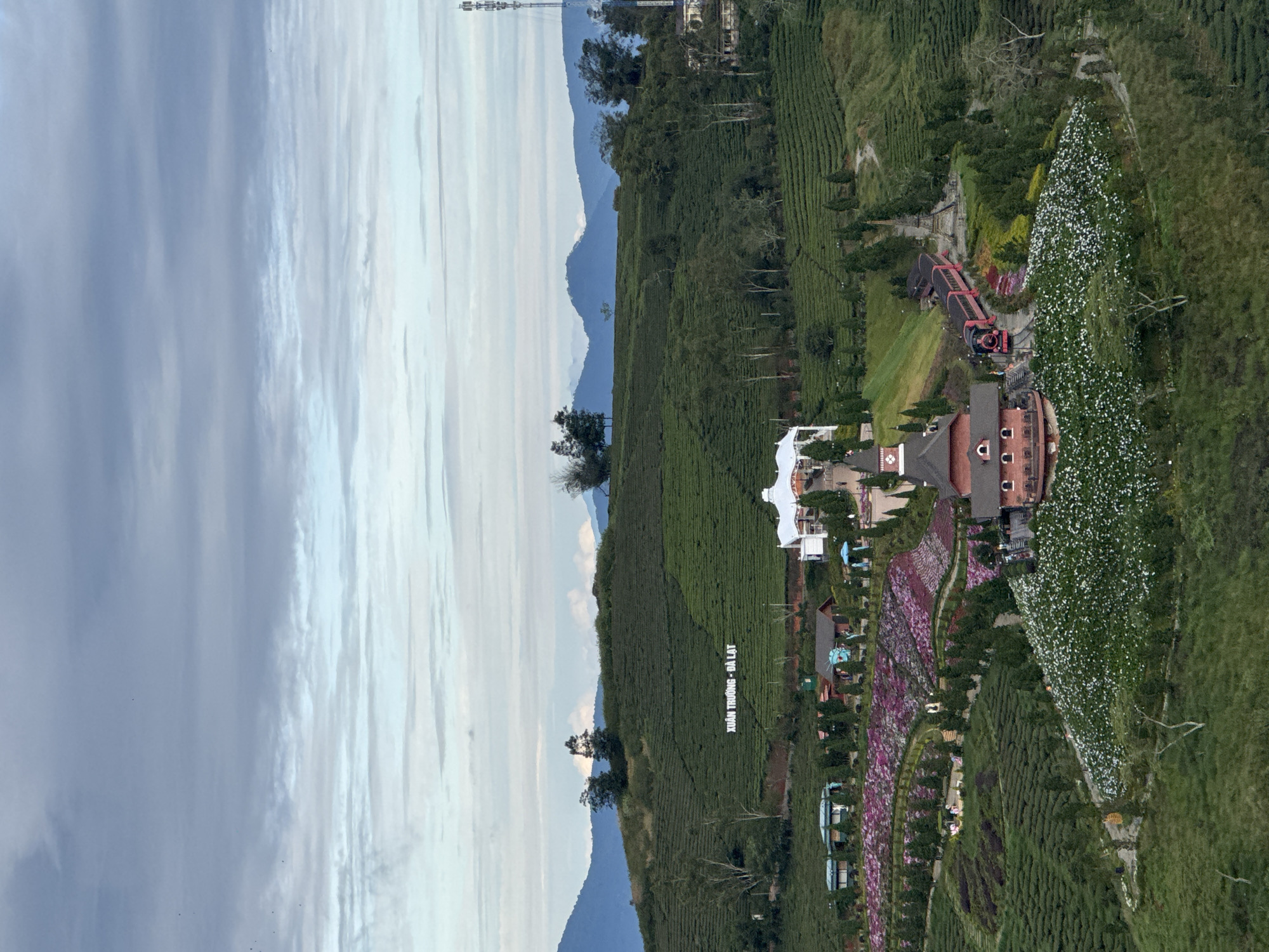 Wind turbines dot Vietnamese tea plantation landscape near midnight
