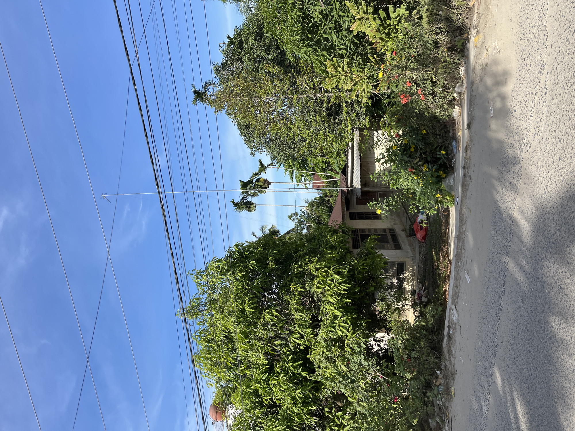 Roadside life in Bukitrata: homes, a mosque, open sky