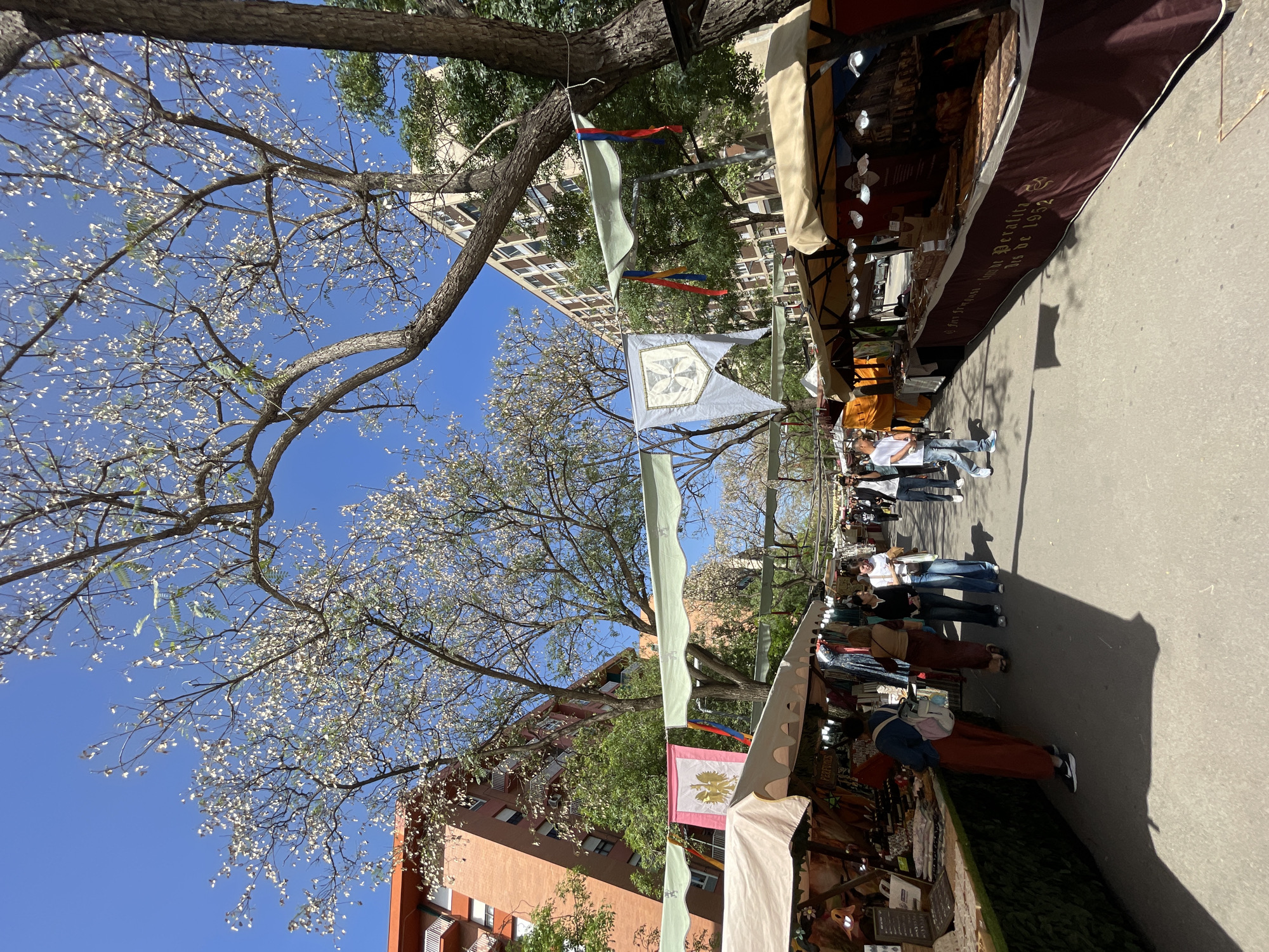 Sunny afternoon market draws crowds in Barcelona