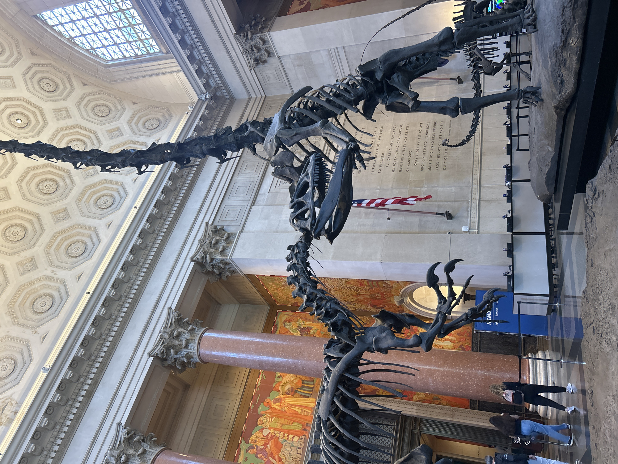 Visitor documents New York museum exhibits on sunny afternoon