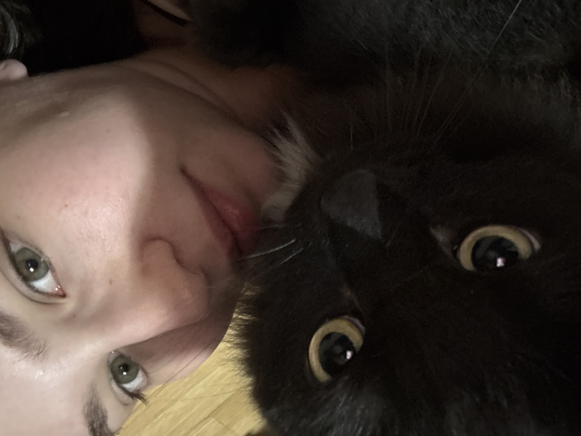 Evening home moments with cat documented in Chaikovsky, Russia