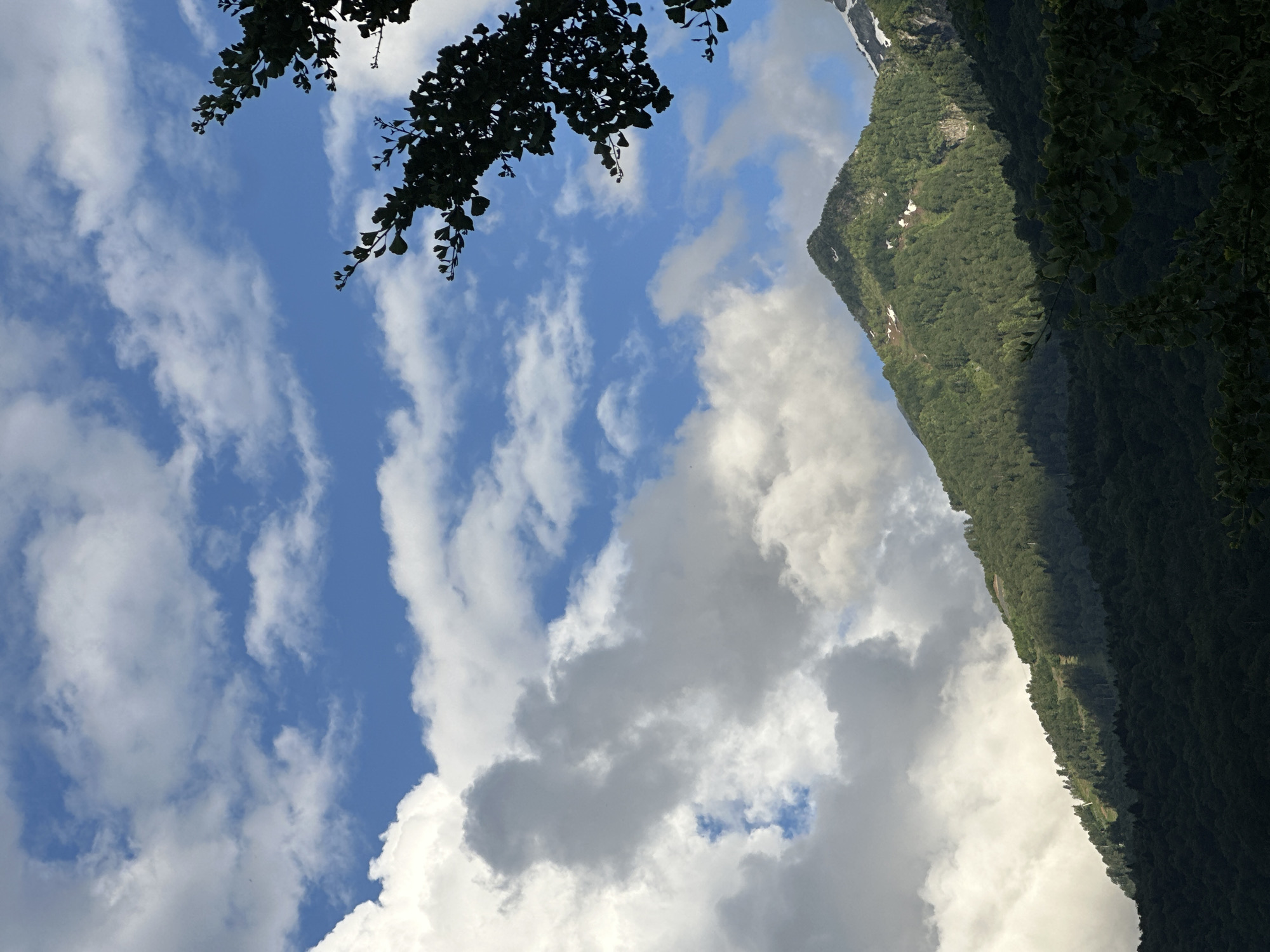 Snow-capped peaks and forest layers at Krasnaya Polyana