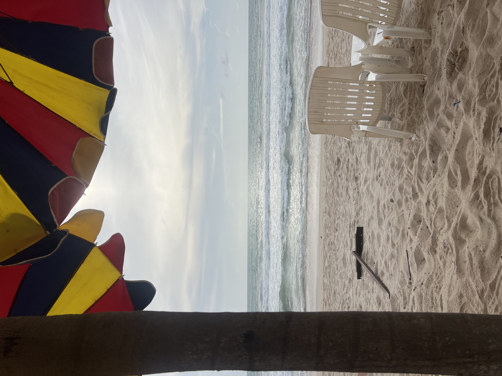 Hen and chicks roam a quiet Choeng Thale beach on a cloudy morning