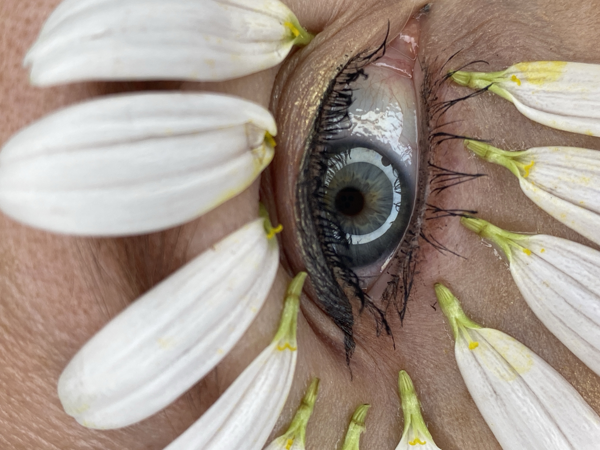 Daisy petal eye art shoot in Sochi, with water and braids.