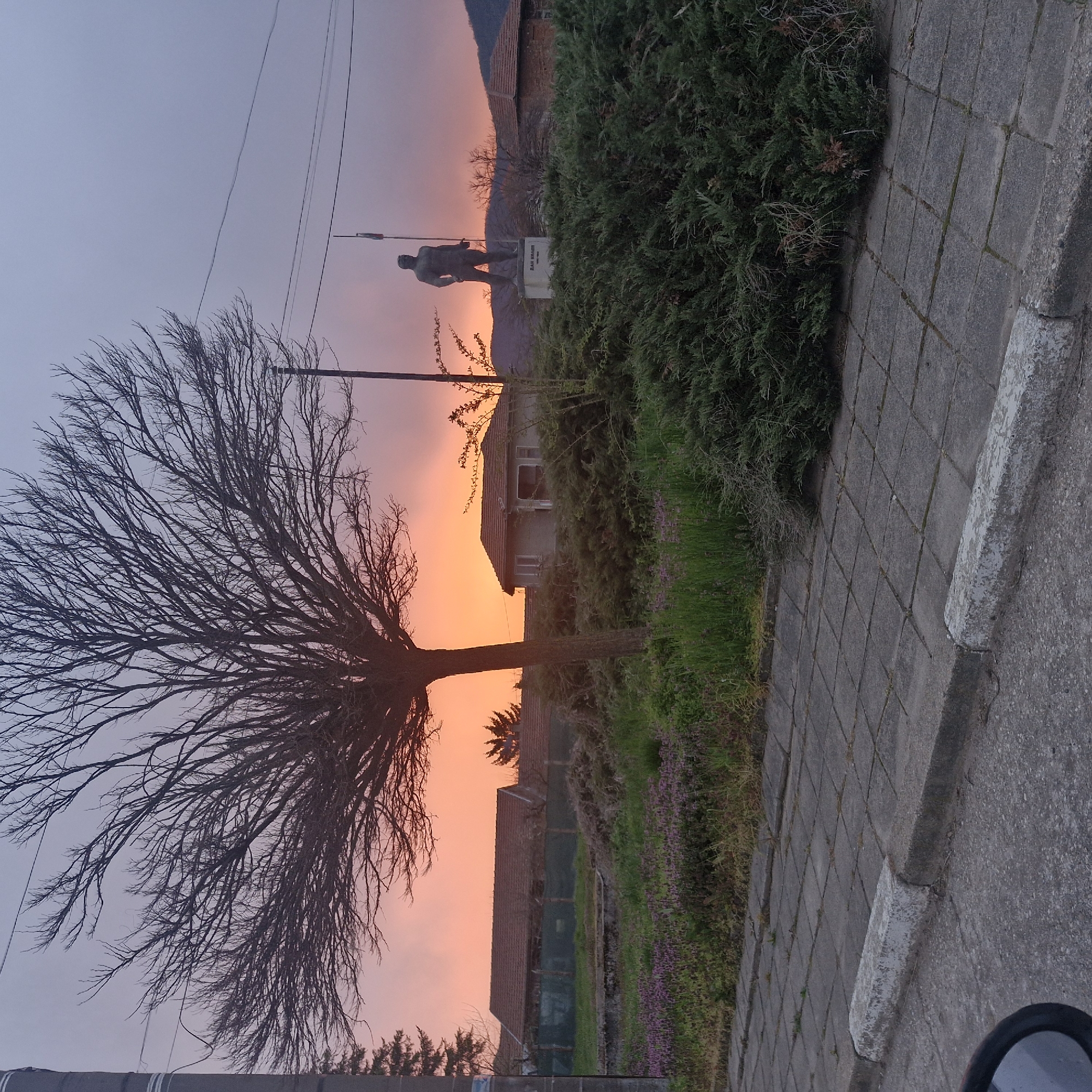 Man photographs sunset from moving car during evening drive