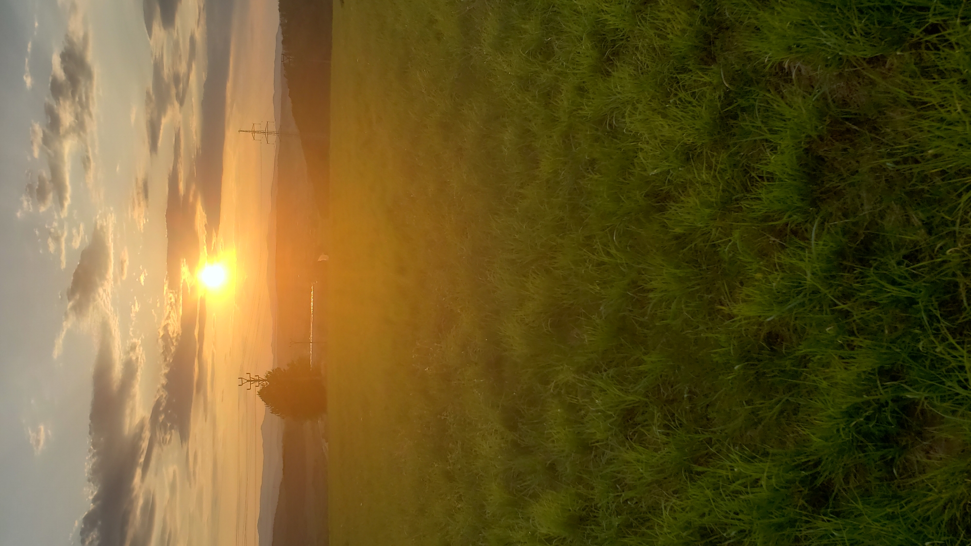 Sunset panoramas over Prešov from a grassy hilltop