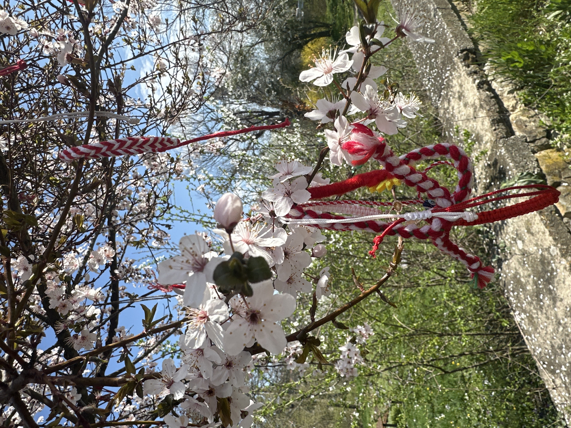 Spring blooms meet tradition in Bulgarian village tree display
