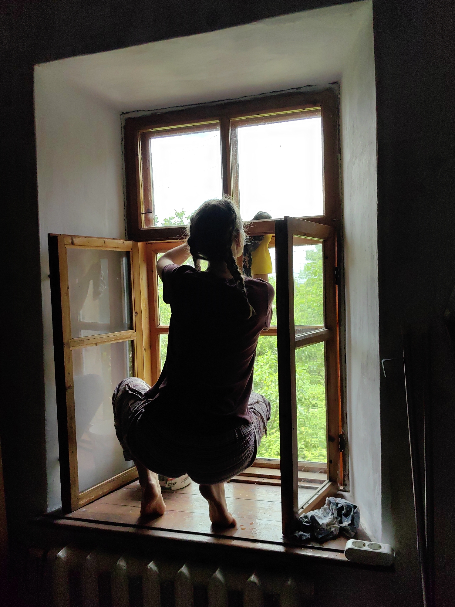 Morning Window Cleaning and Beetle Activity Observed