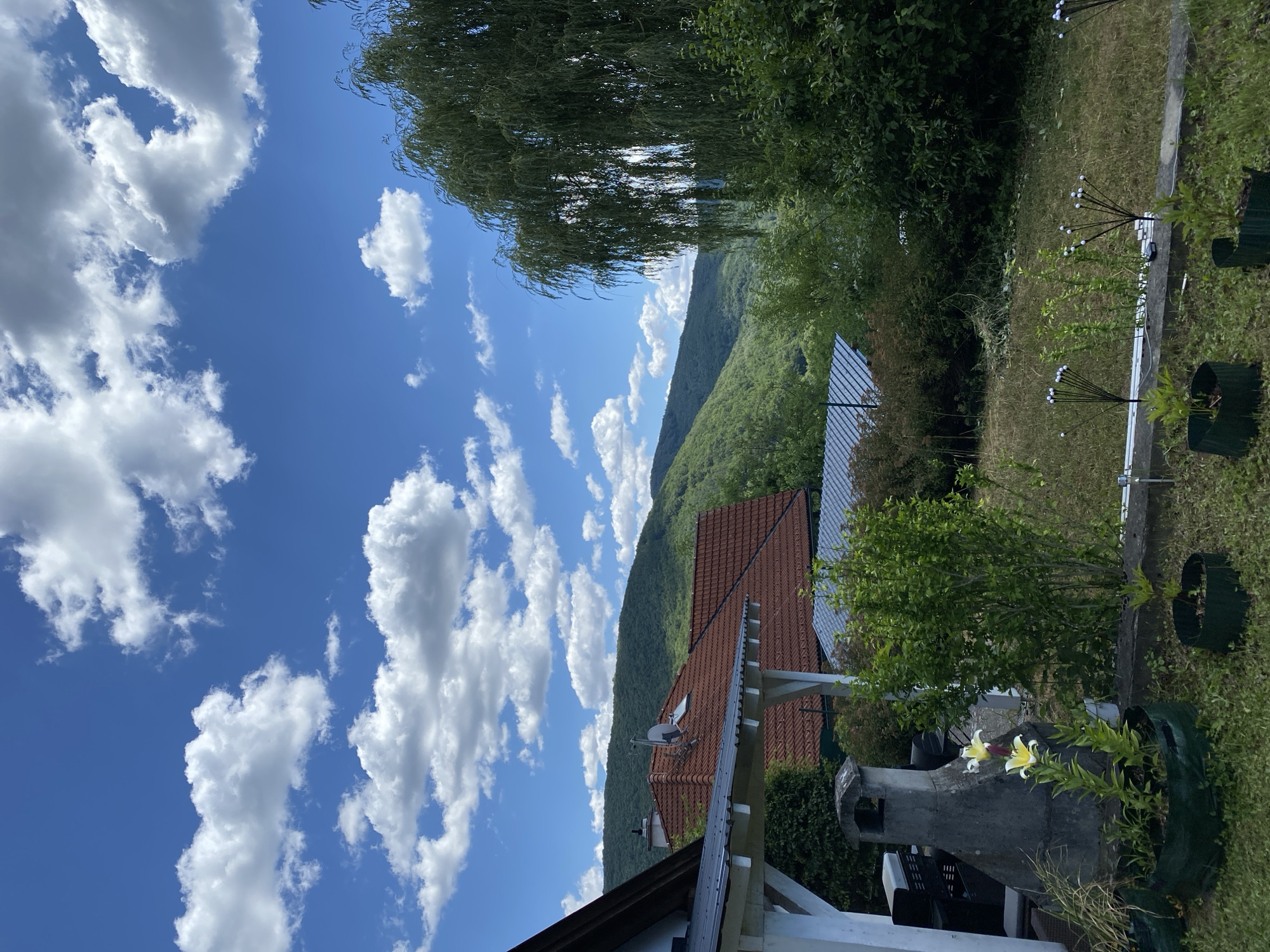 Summer morning in Purkersdorf: gardens, hillsides, and small details