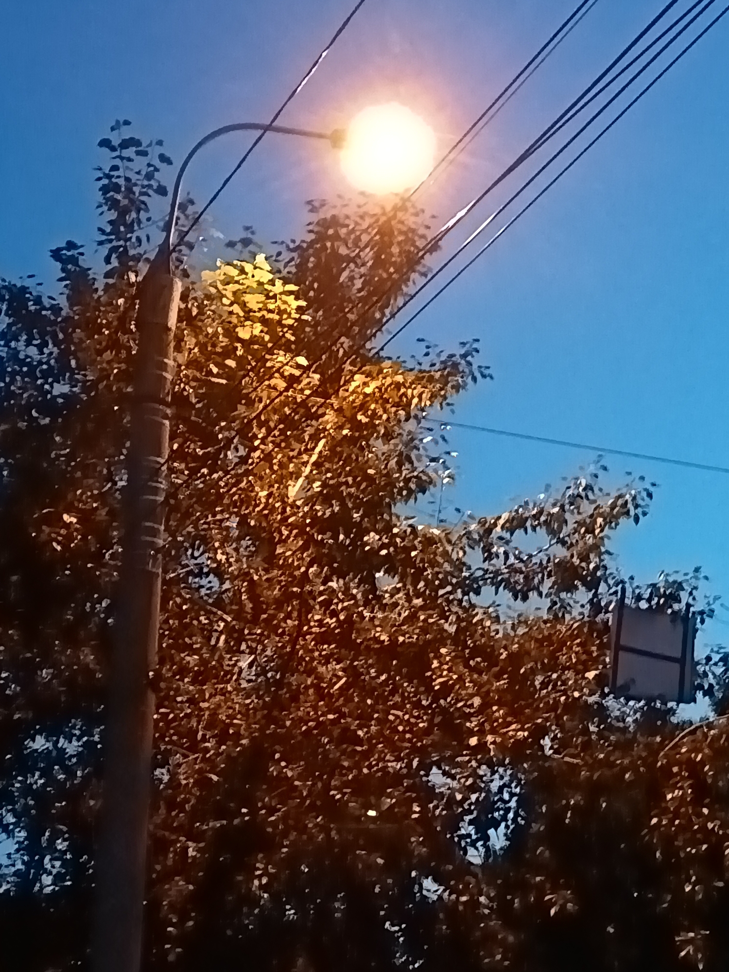 Evening out in Komsomolsk-on-Amur: parks, food, and city streets