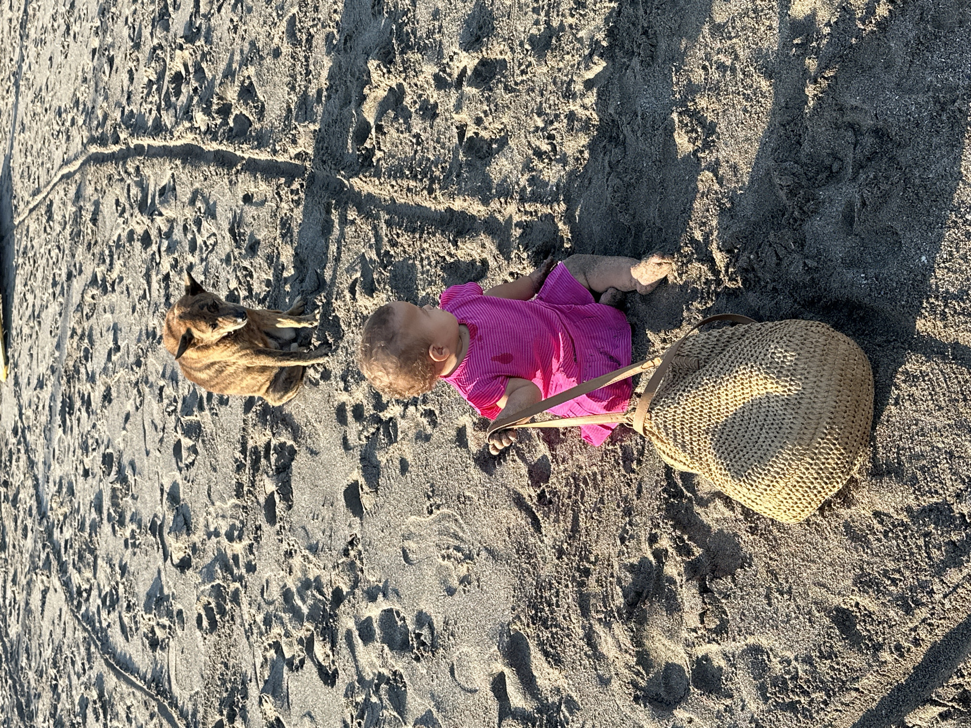 Busy morning on the North Kuta beach — surfers, strollers, and sand