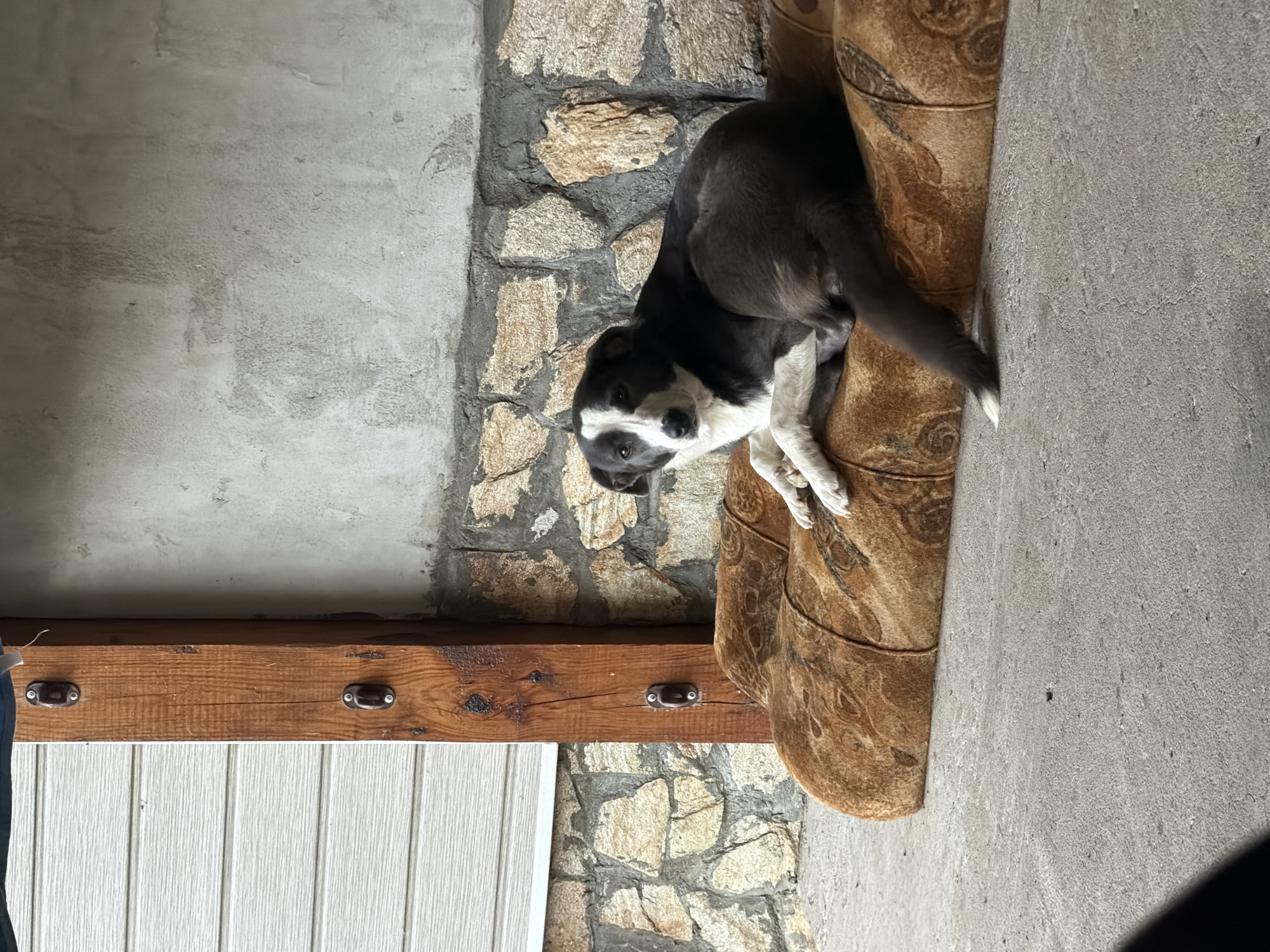Early morning domestic life documented in Iskar, Bulgaria