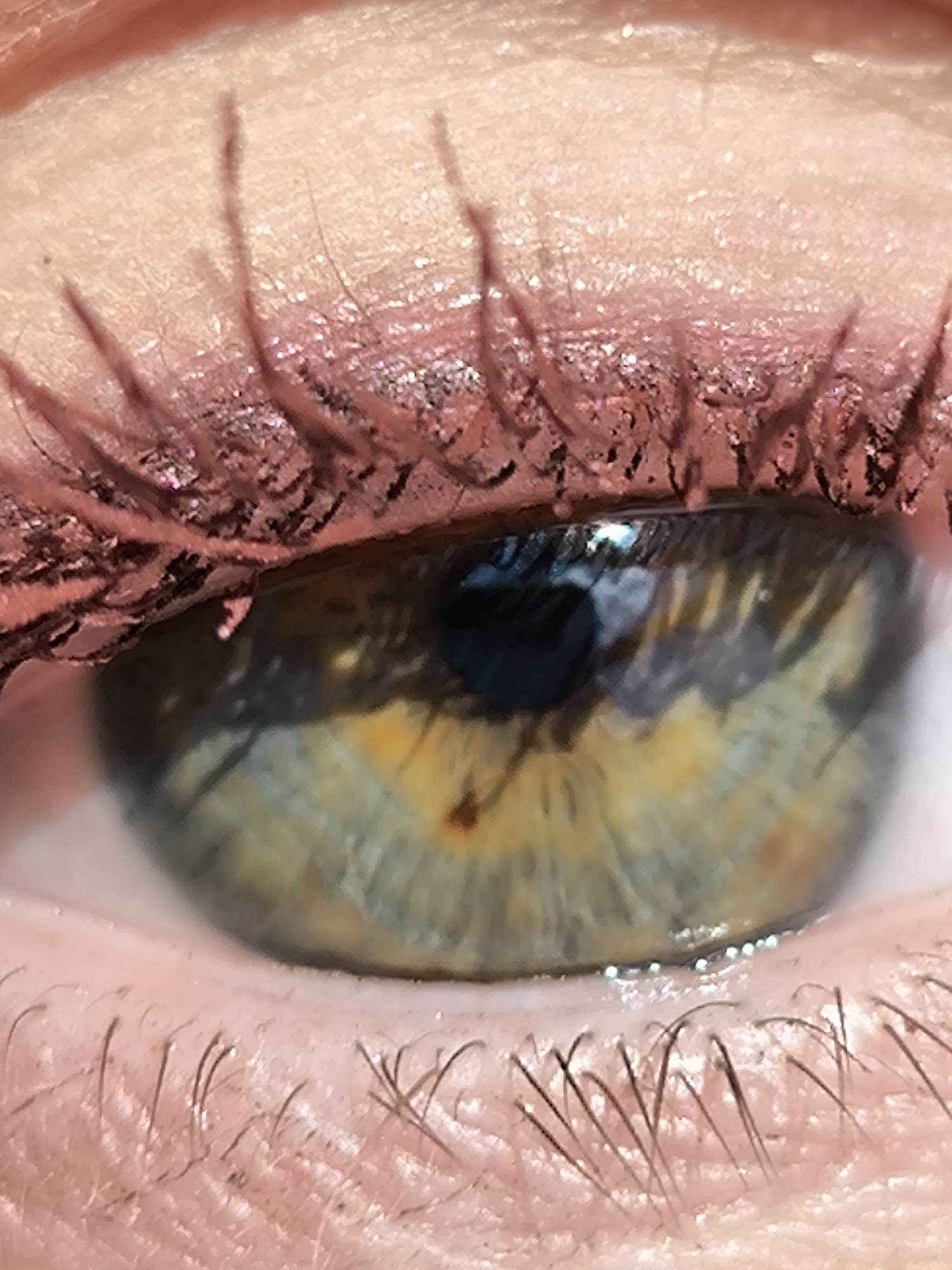 Close-up portrait photography session captures woman's distinctive eye colors