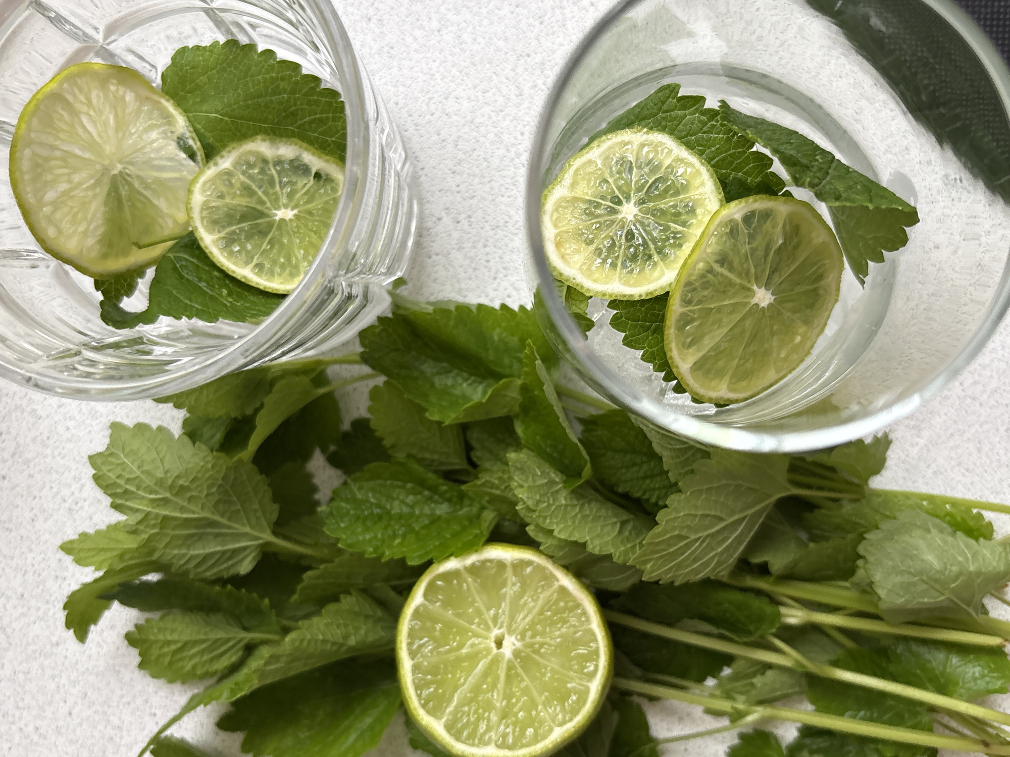 Refreshing mint-lime drinks prepared in Saint Petersburg afternoon gathering