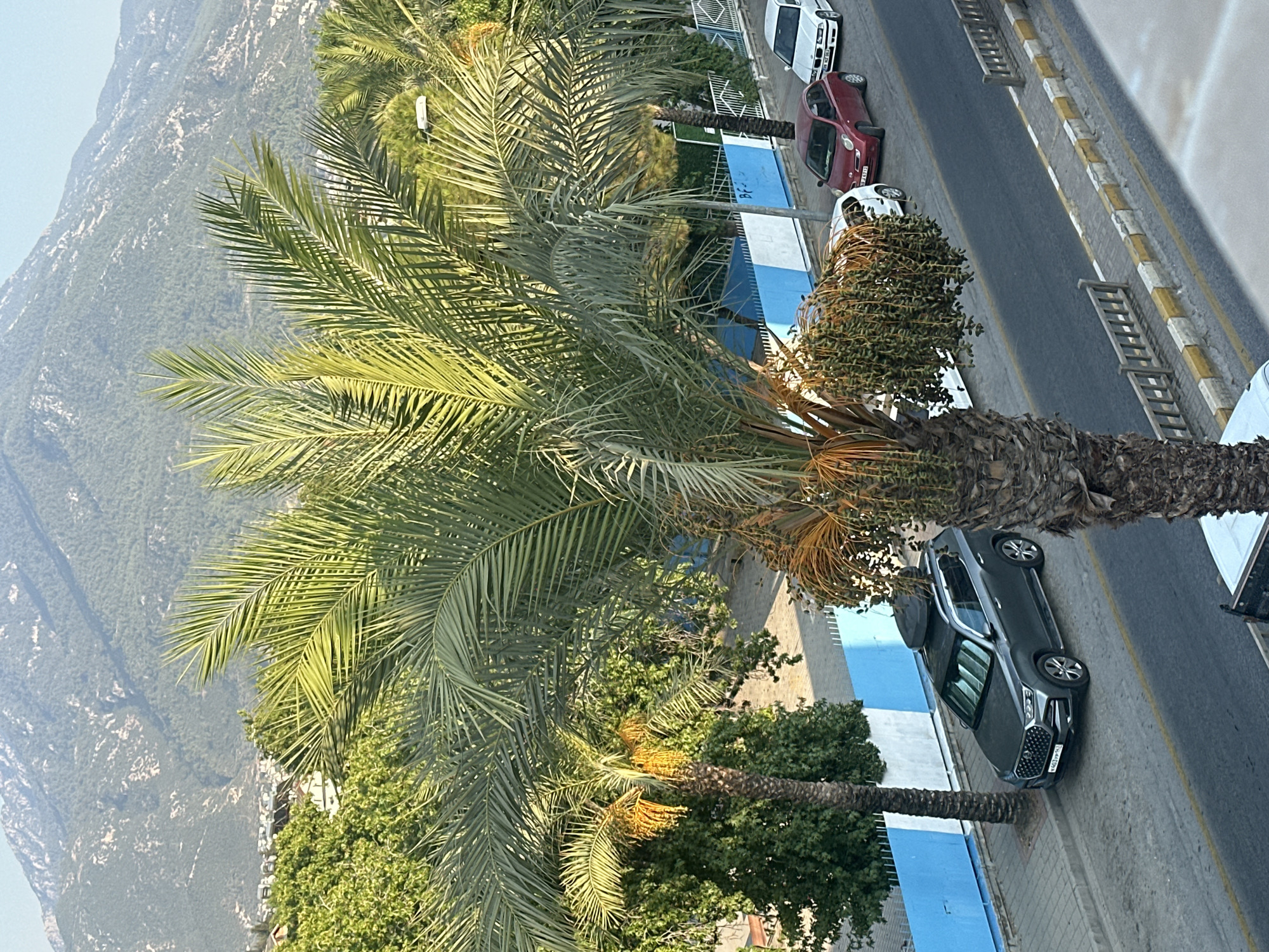 A lazy summer afternoon around Fethiye's streets and rooftops